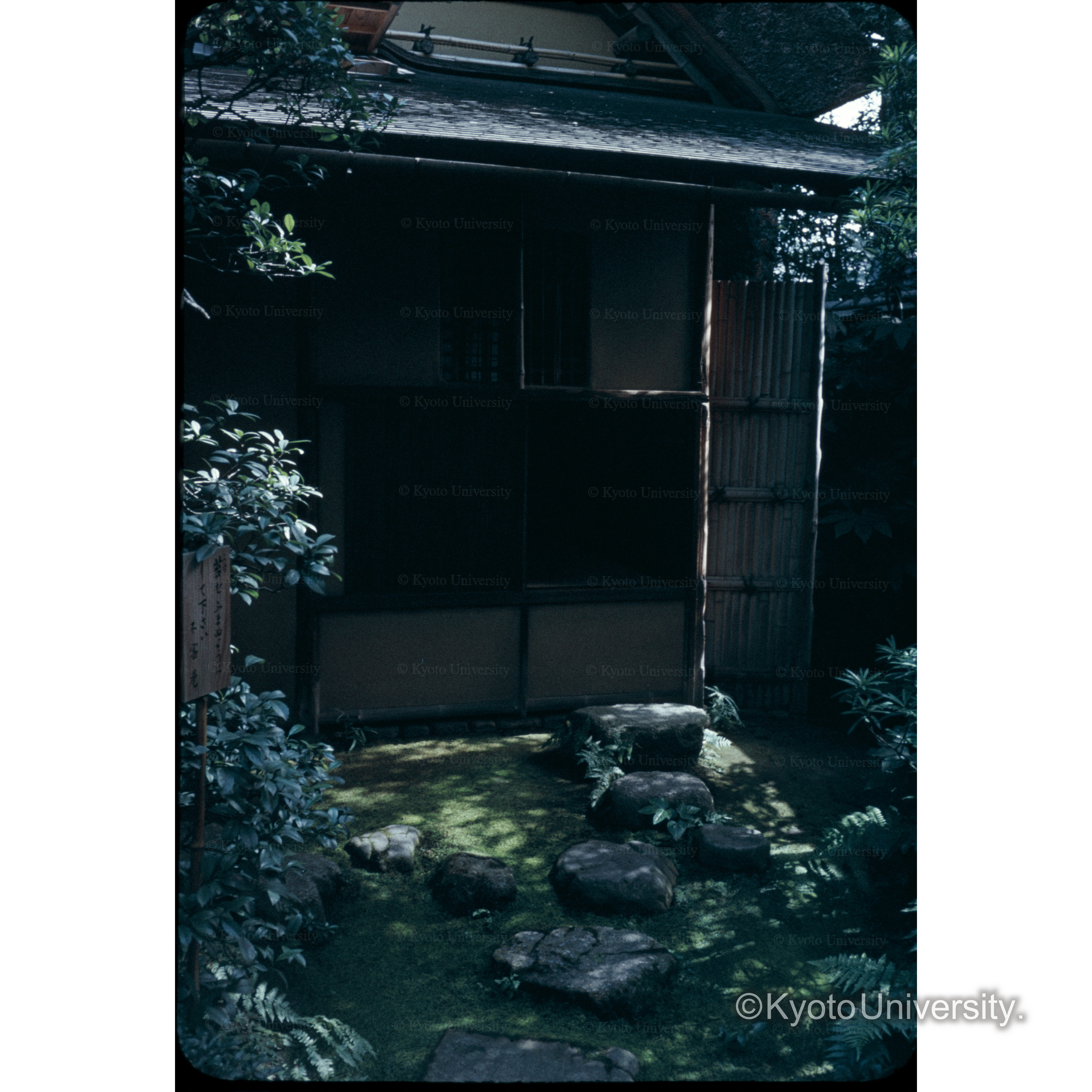 〔庭と家屋〕 (1)