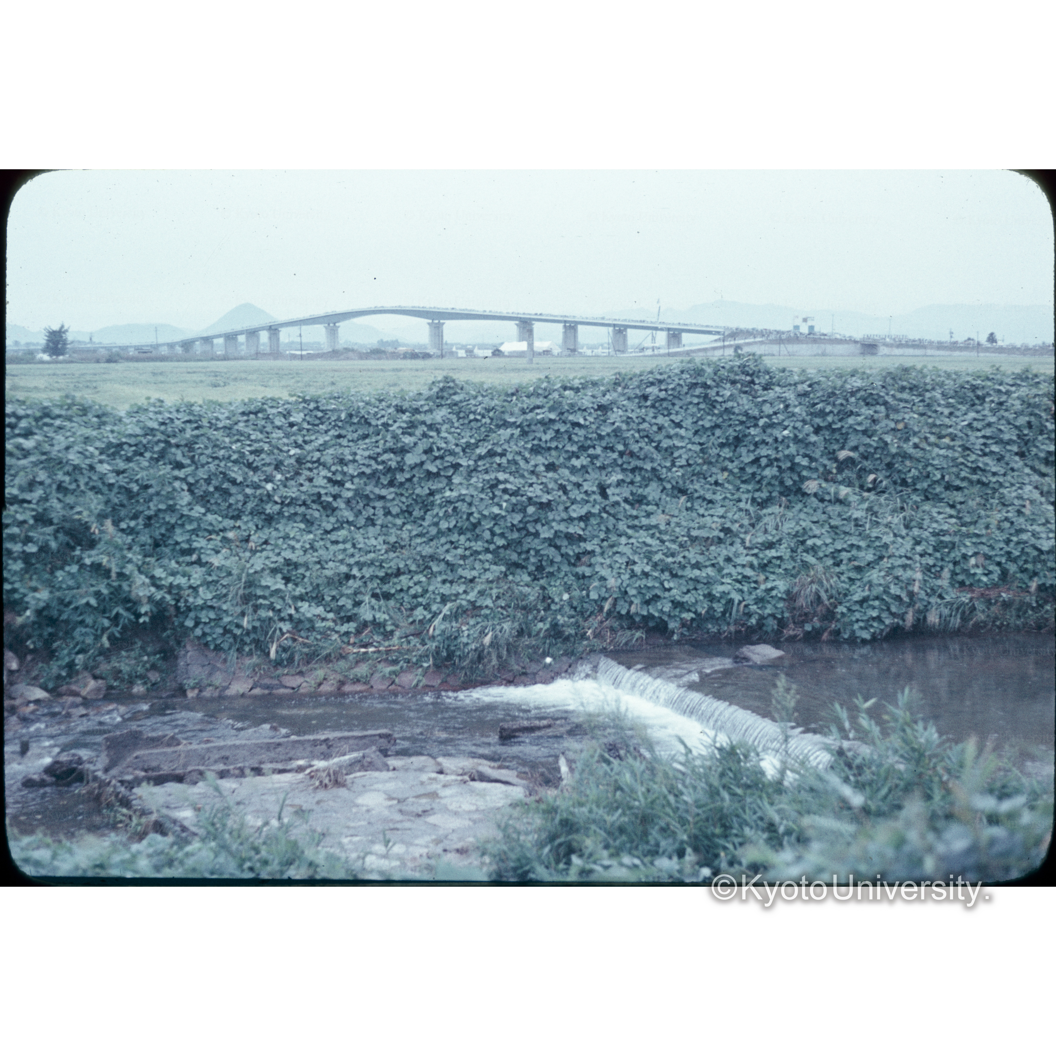 ビワ湖大橋開通日 (1)