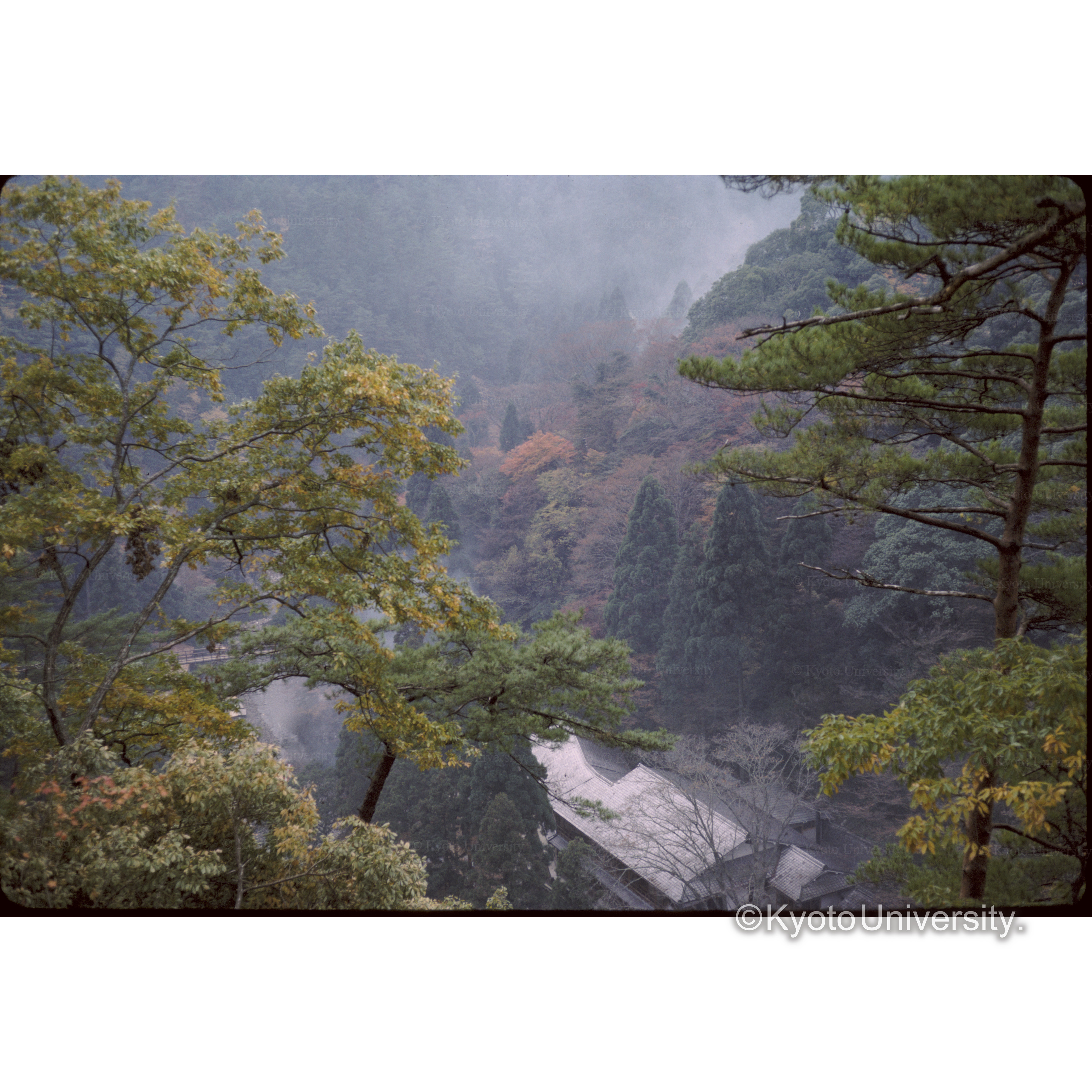 西山ハイウェー (1)