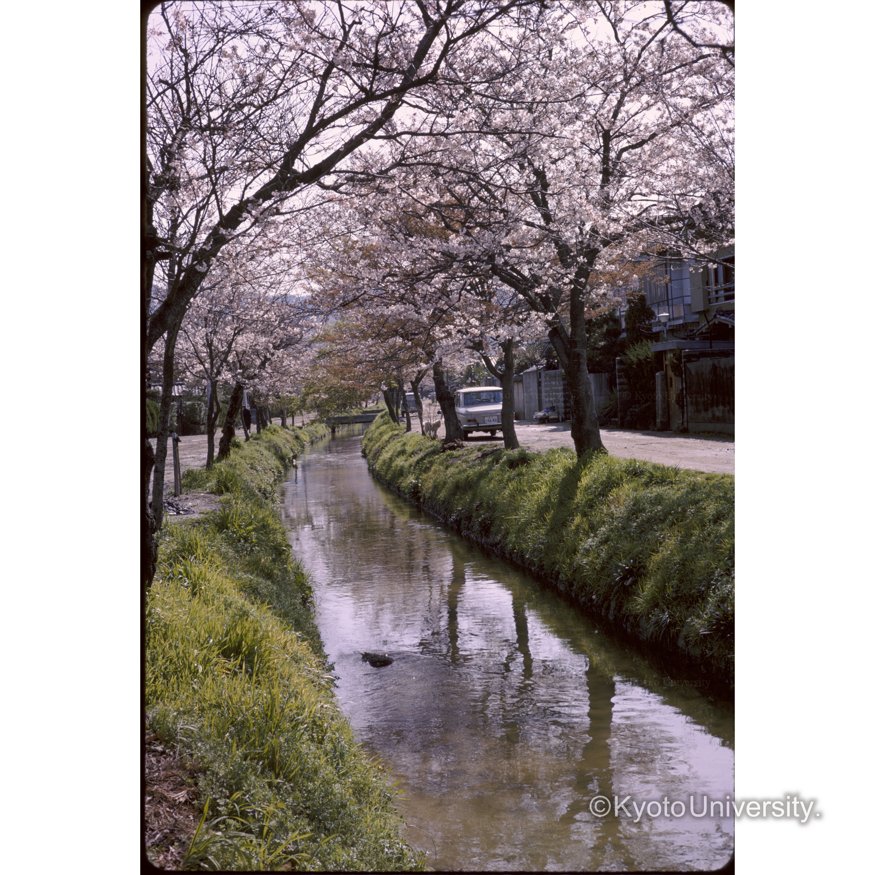 下村ソ水バタ (1)