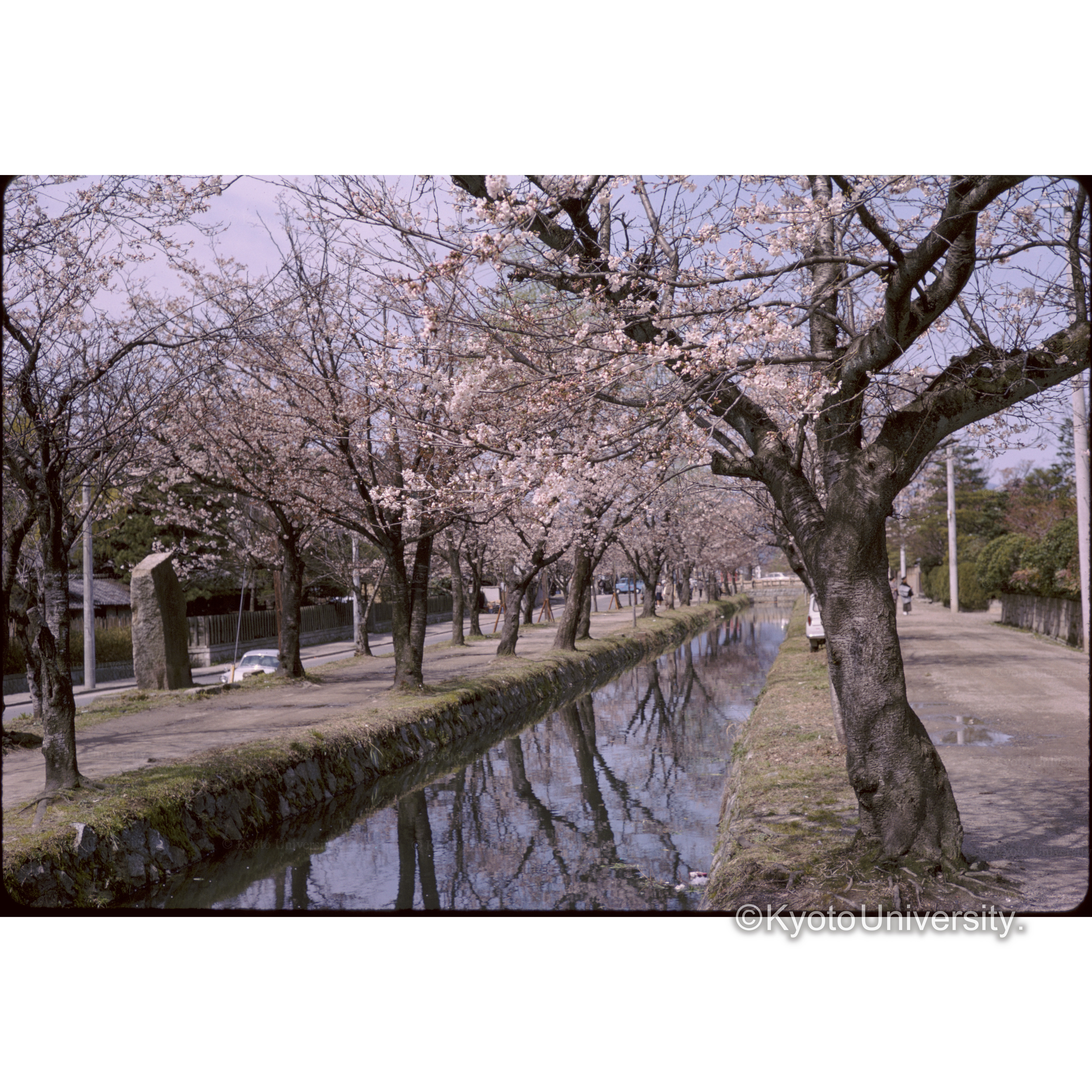 銀閣寺ソ水濠 (1)