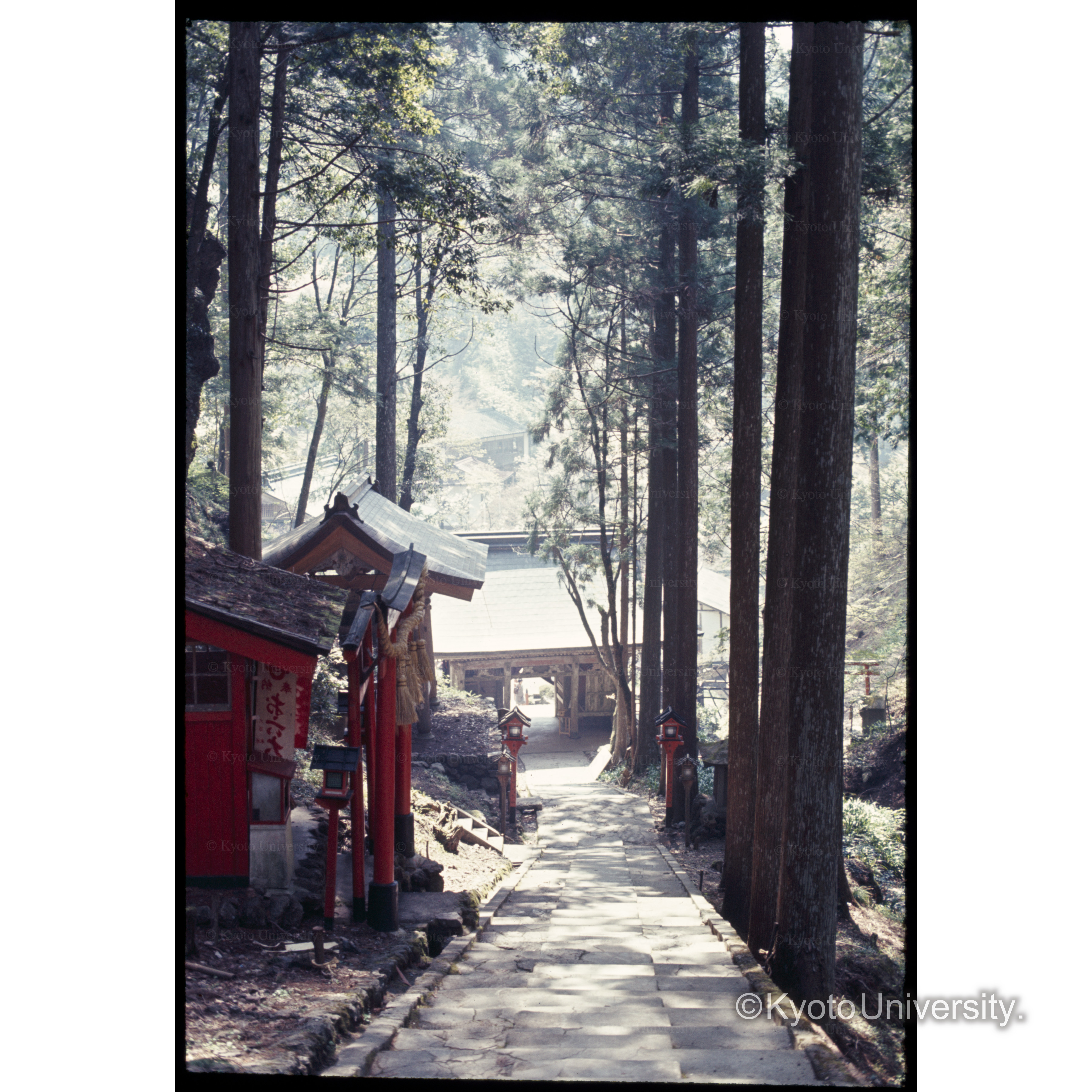 岩屋不動(雲ヶ畑) (1)