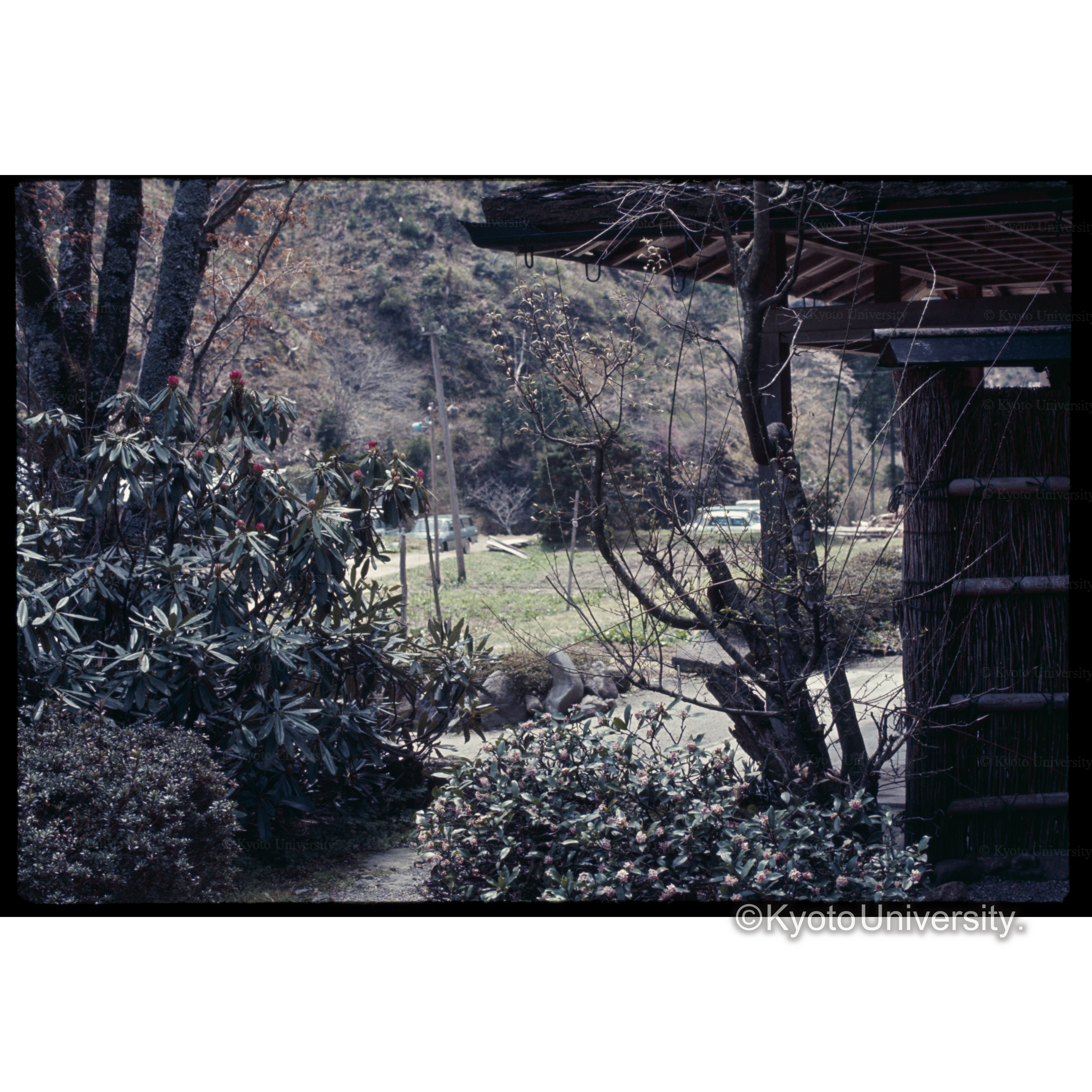 峰定寺　美山荘 (1)