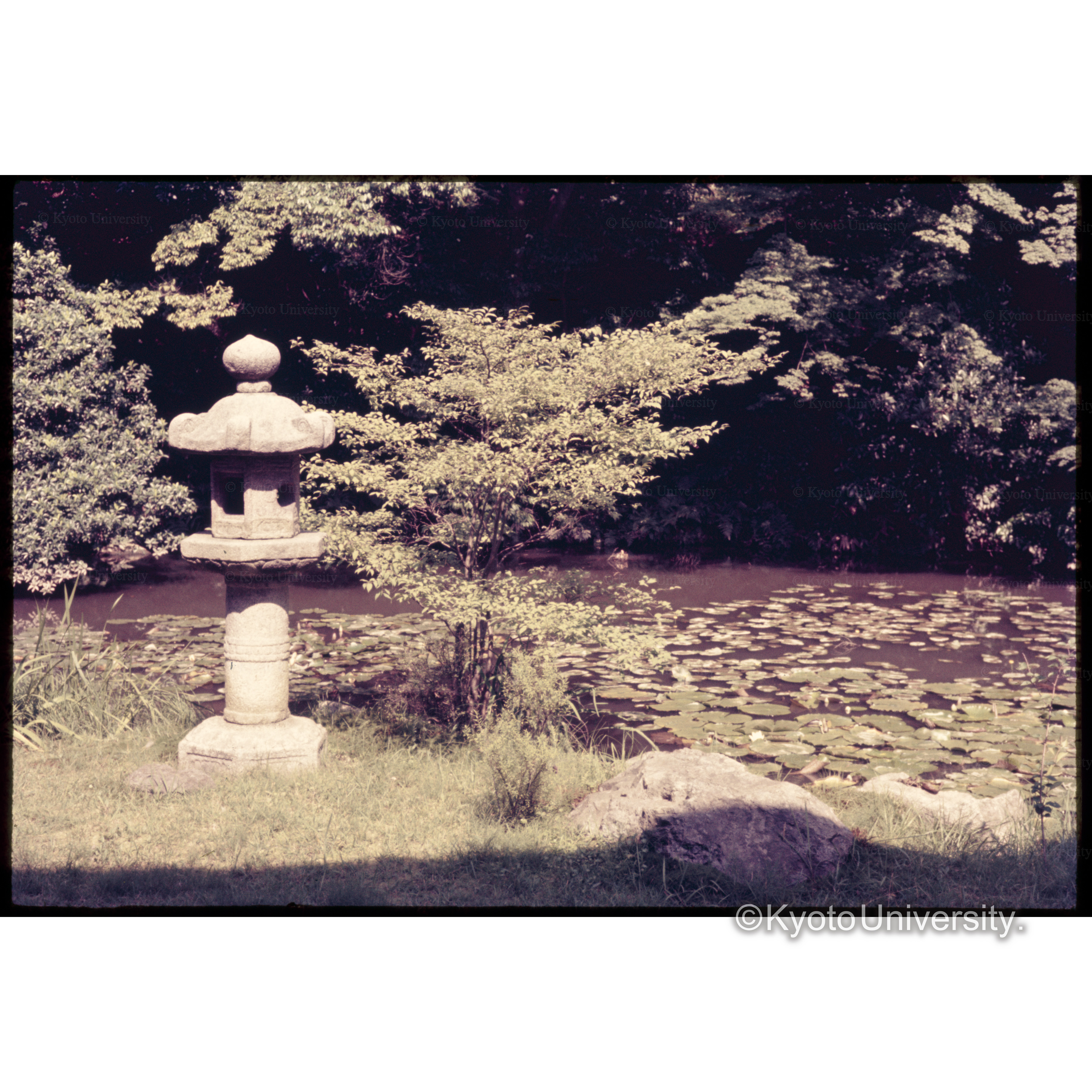 知恩院方丈庭園 (1)