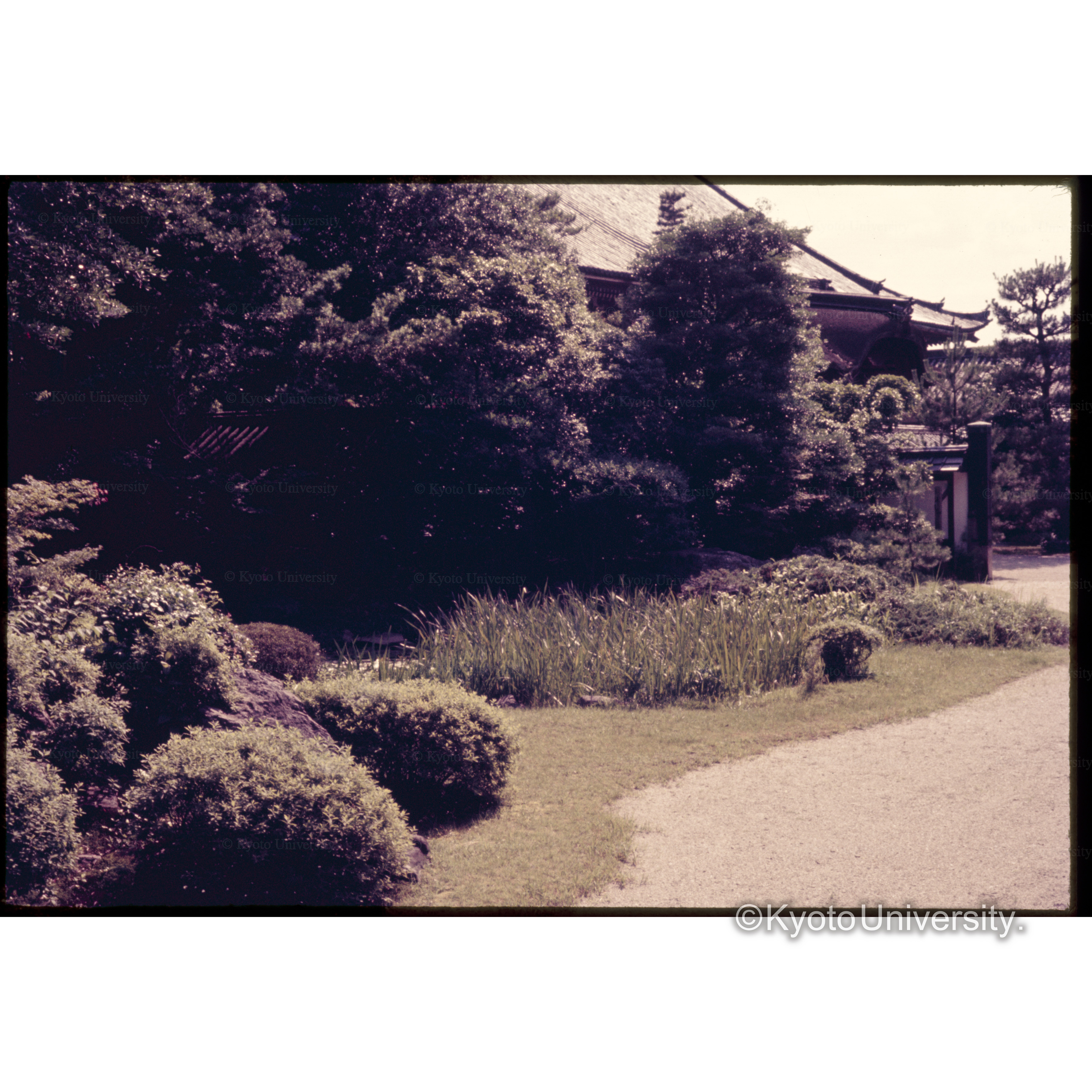 知恩院方丈庭園 (1)