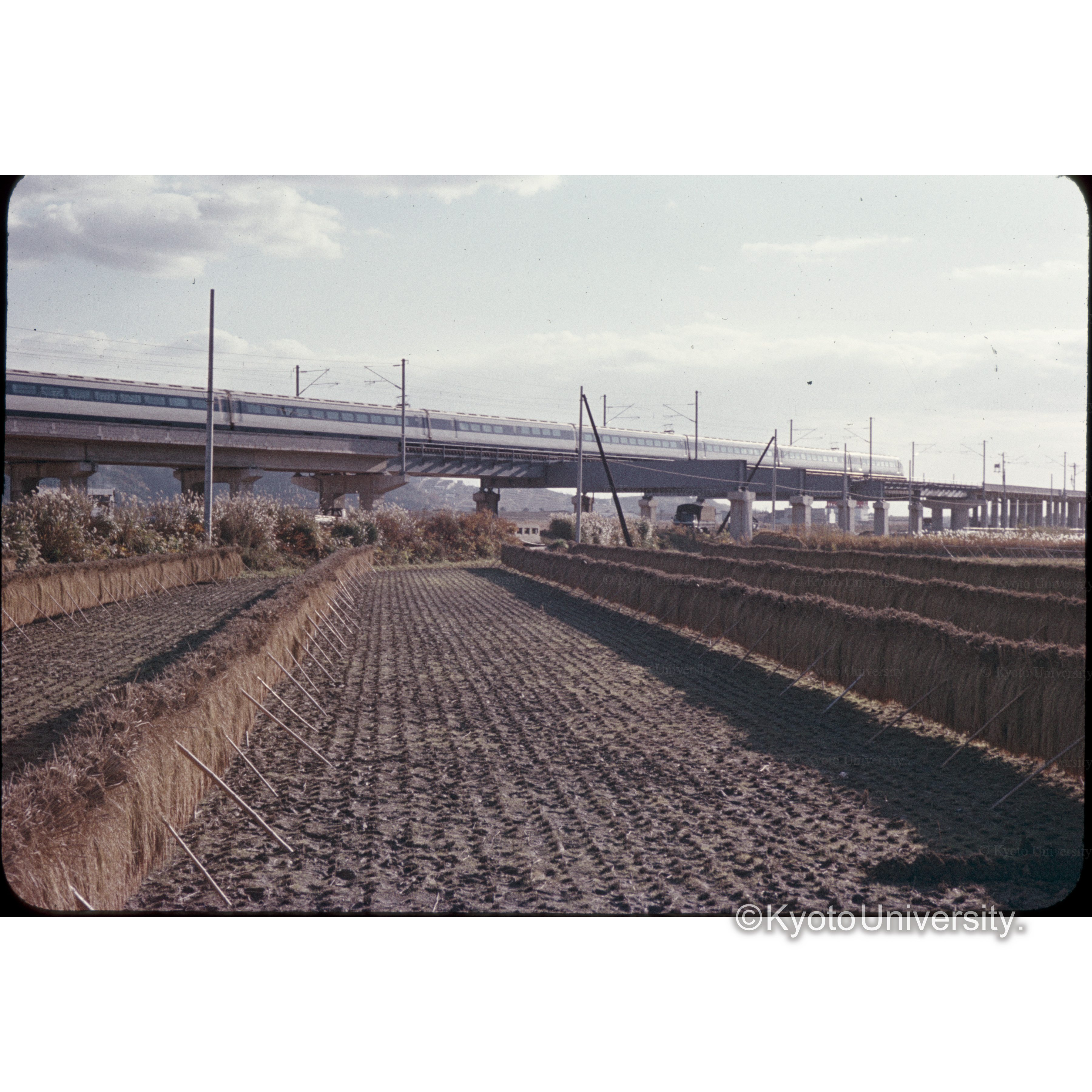 新幹線山崎付近 (1)