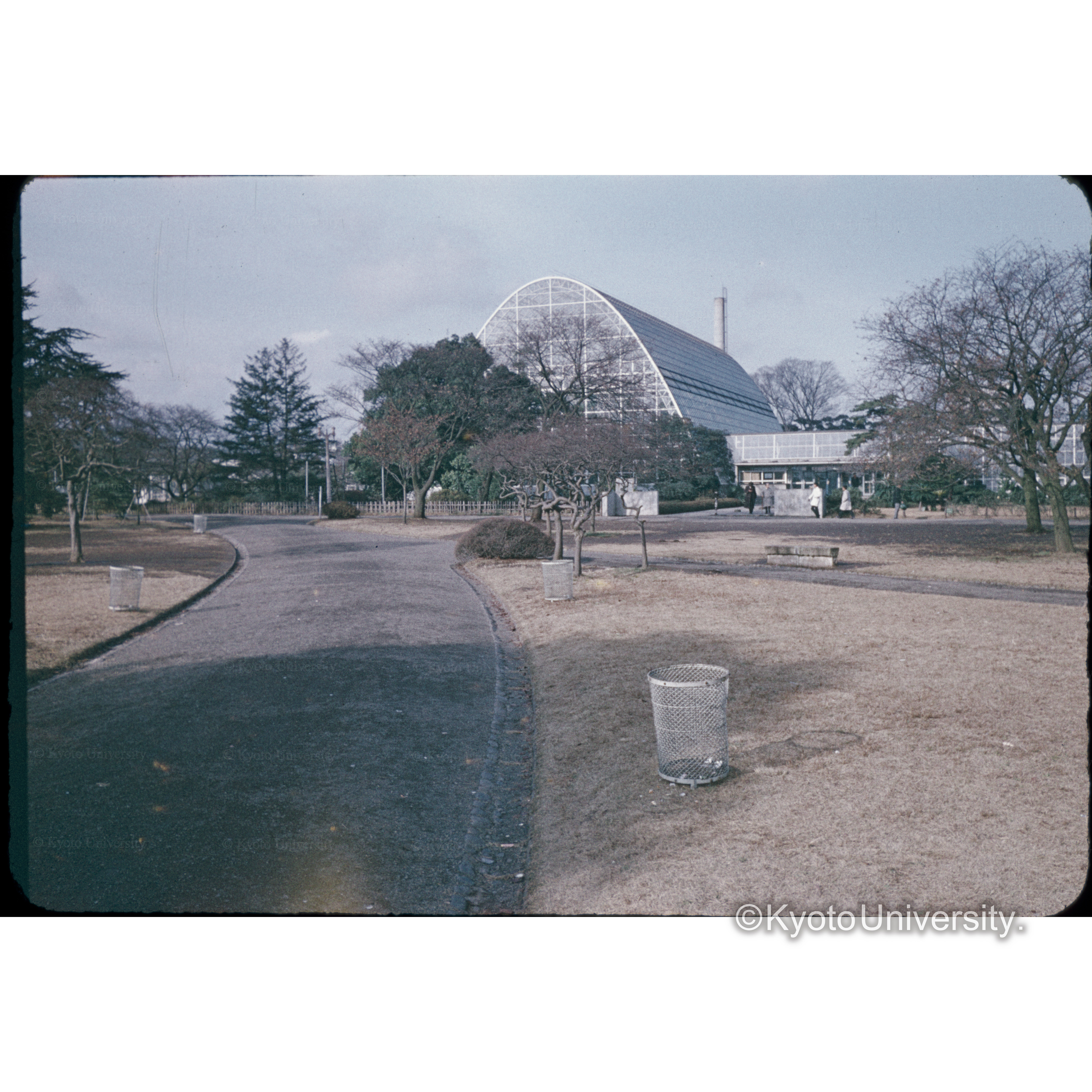 新宿御苑温室 (1)