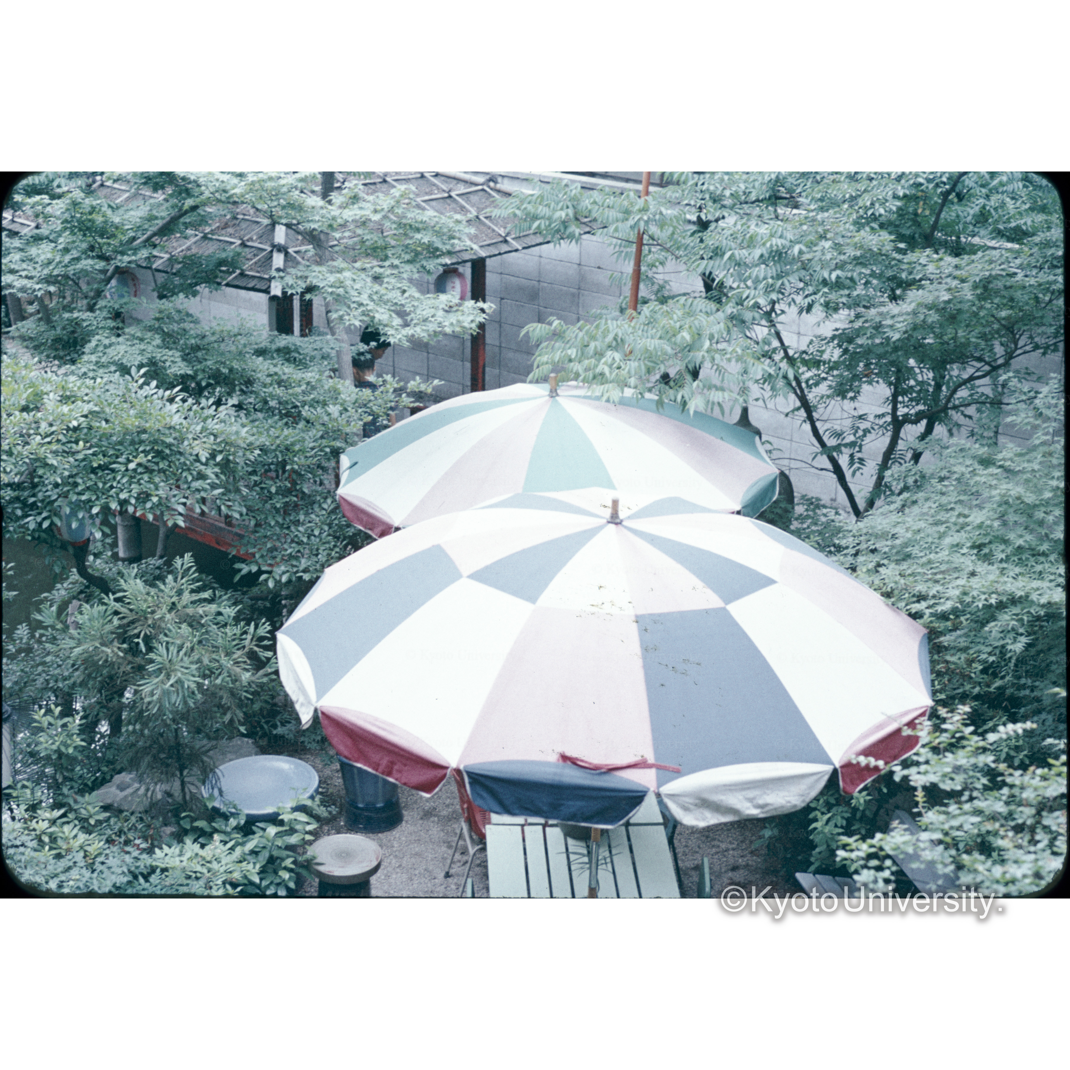 一乗院跡レストラン (1)