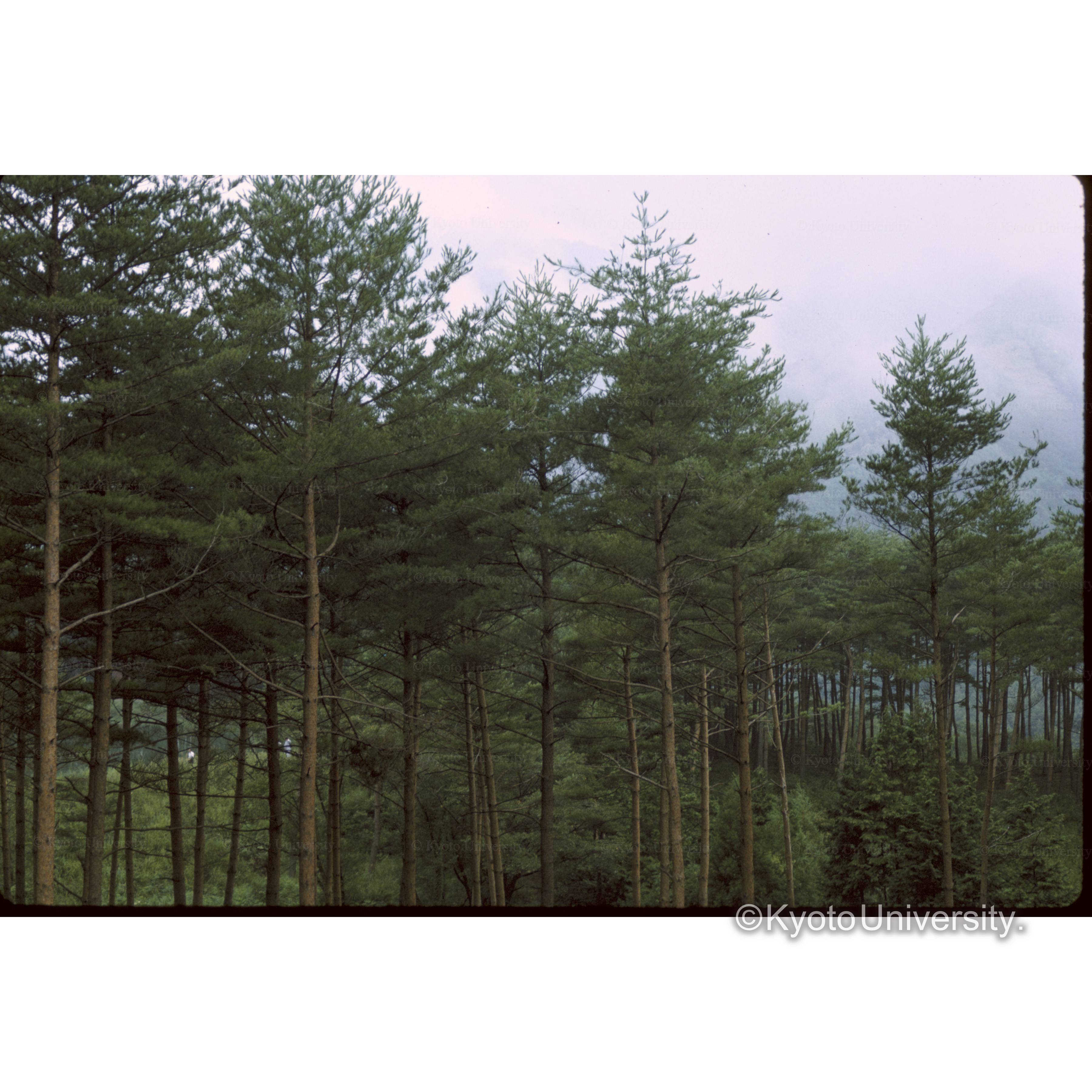 飯島町福祉センター (1)