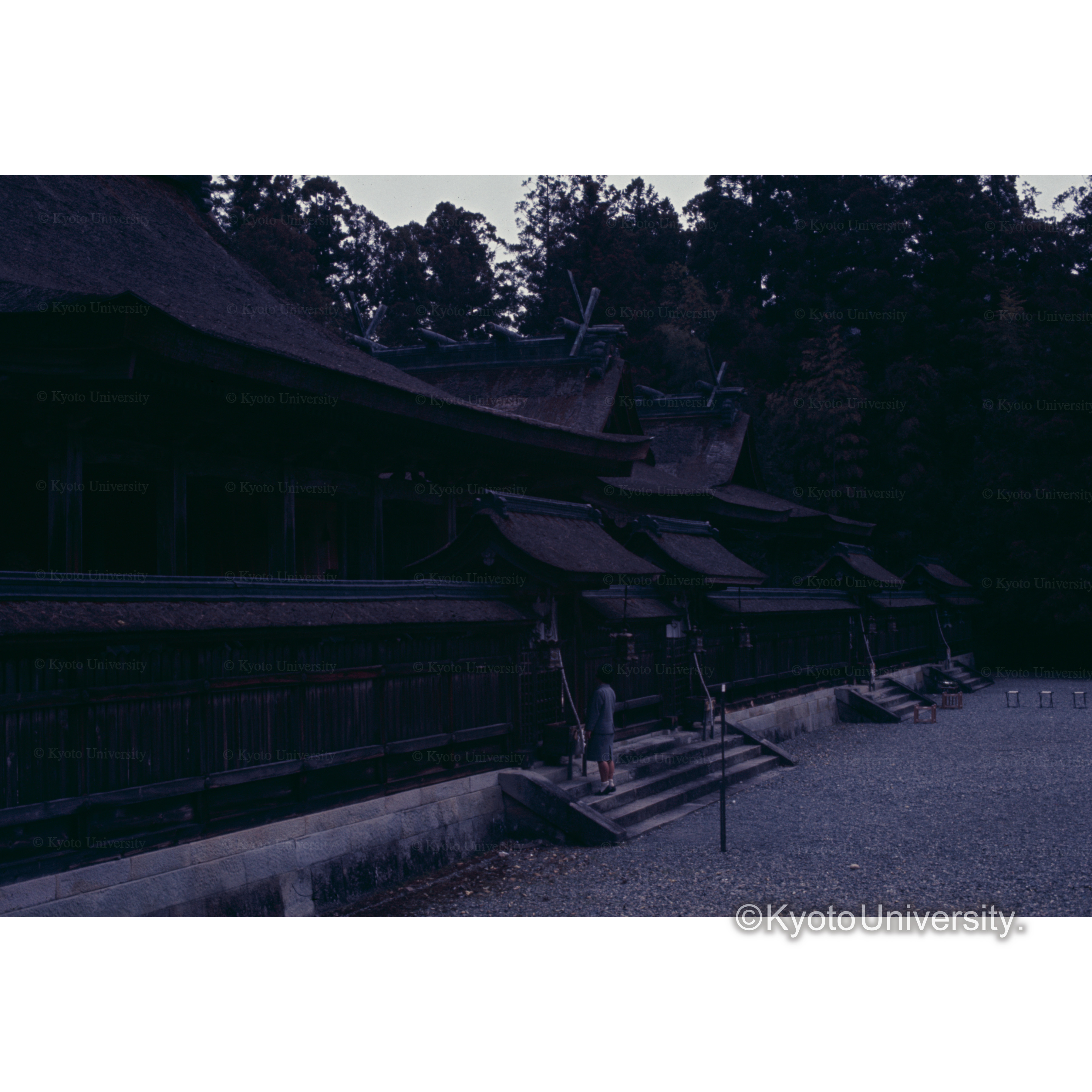 本宮　熊野権現 (1)