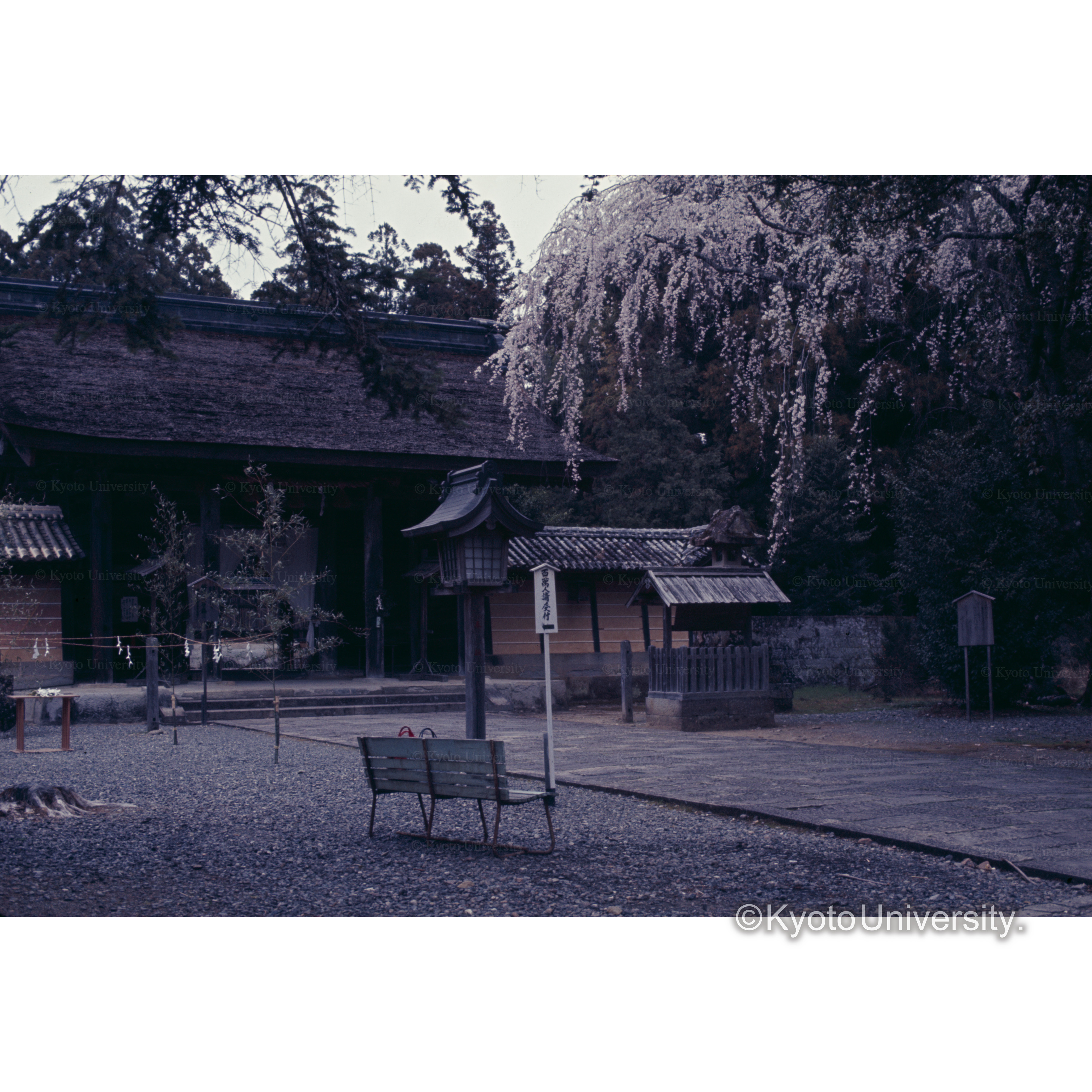 本宮　熊野権現 (1)