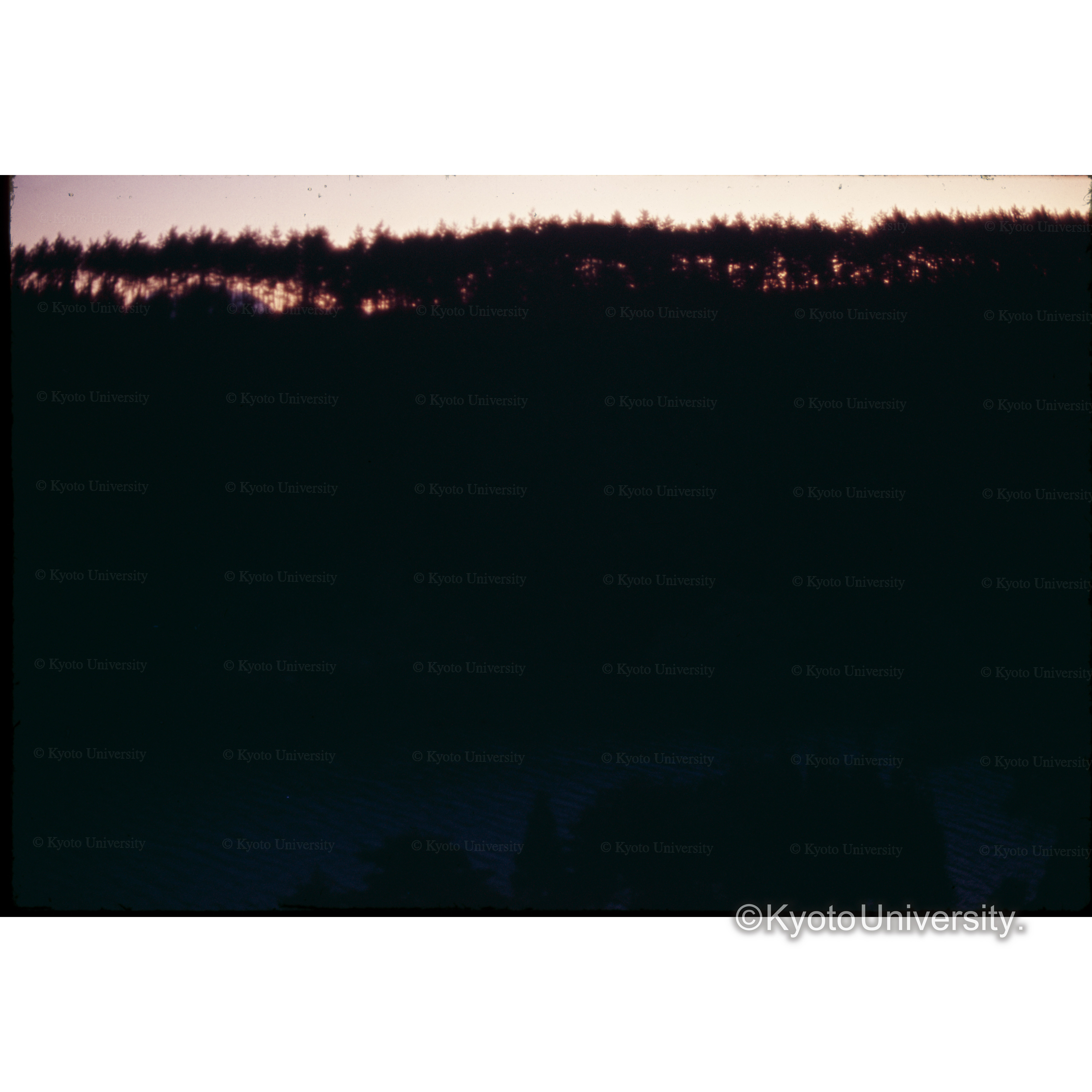 九重レークサイドホテル (1)