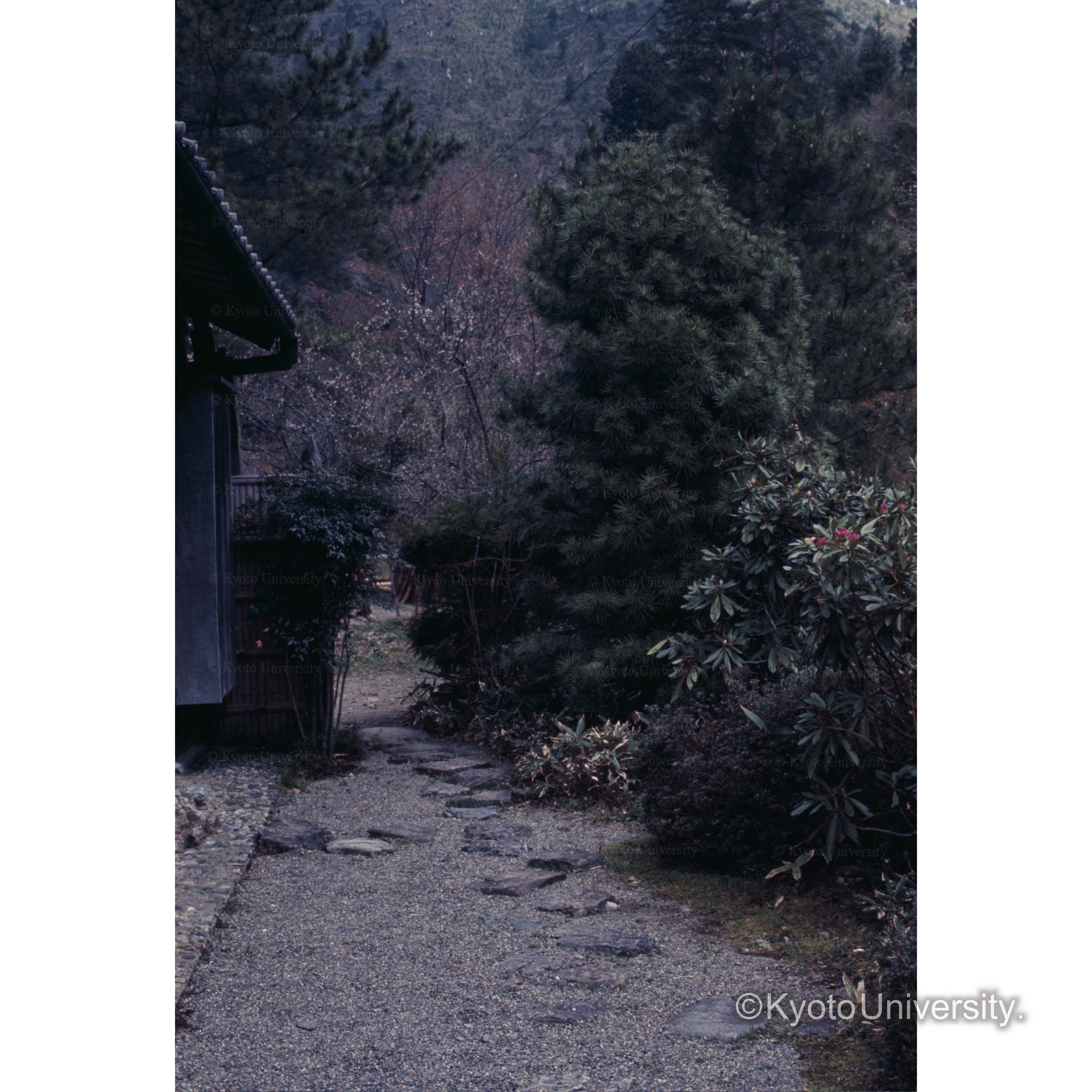 峰定寺美山荘 (1)