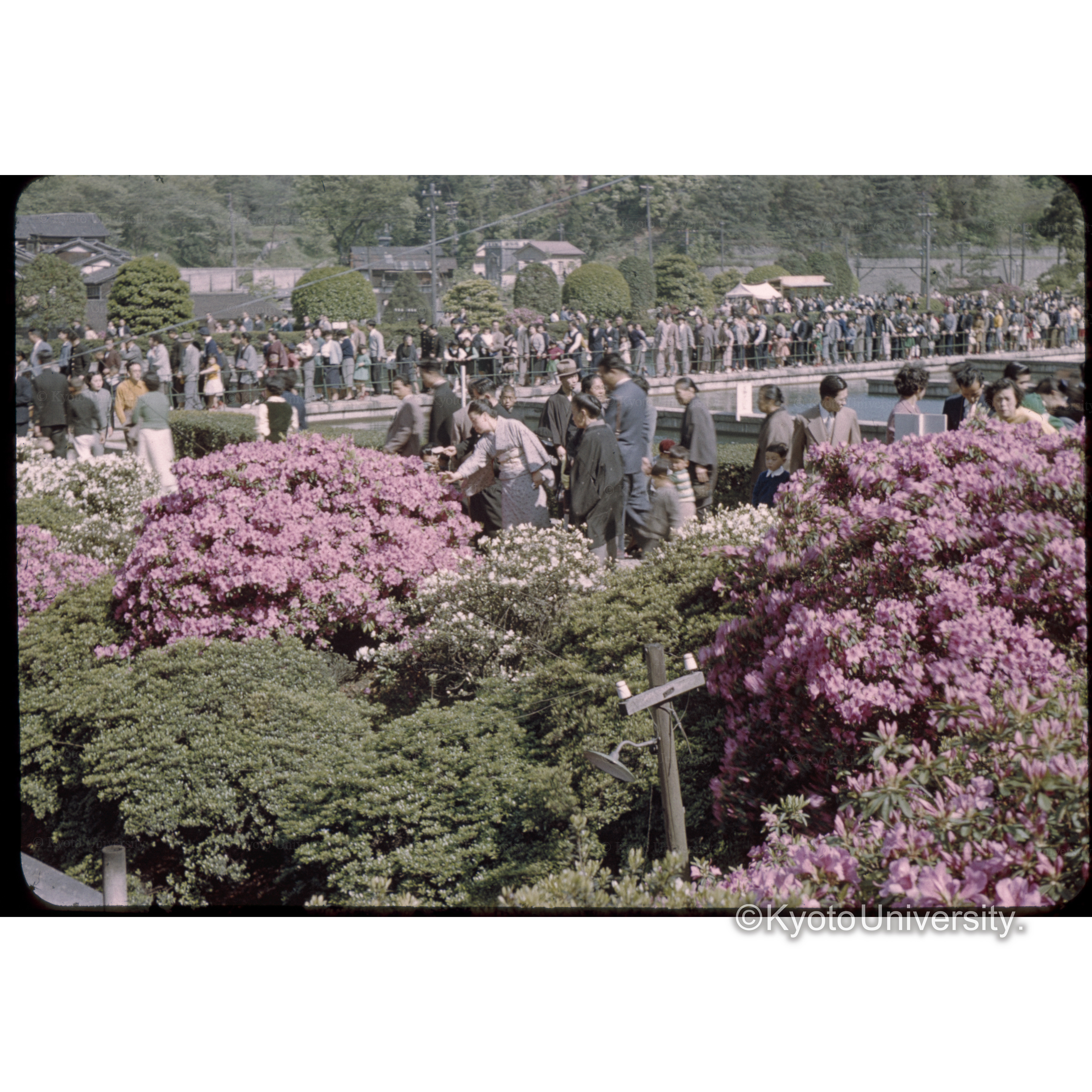 ケアゲ　30.5.1 (1)