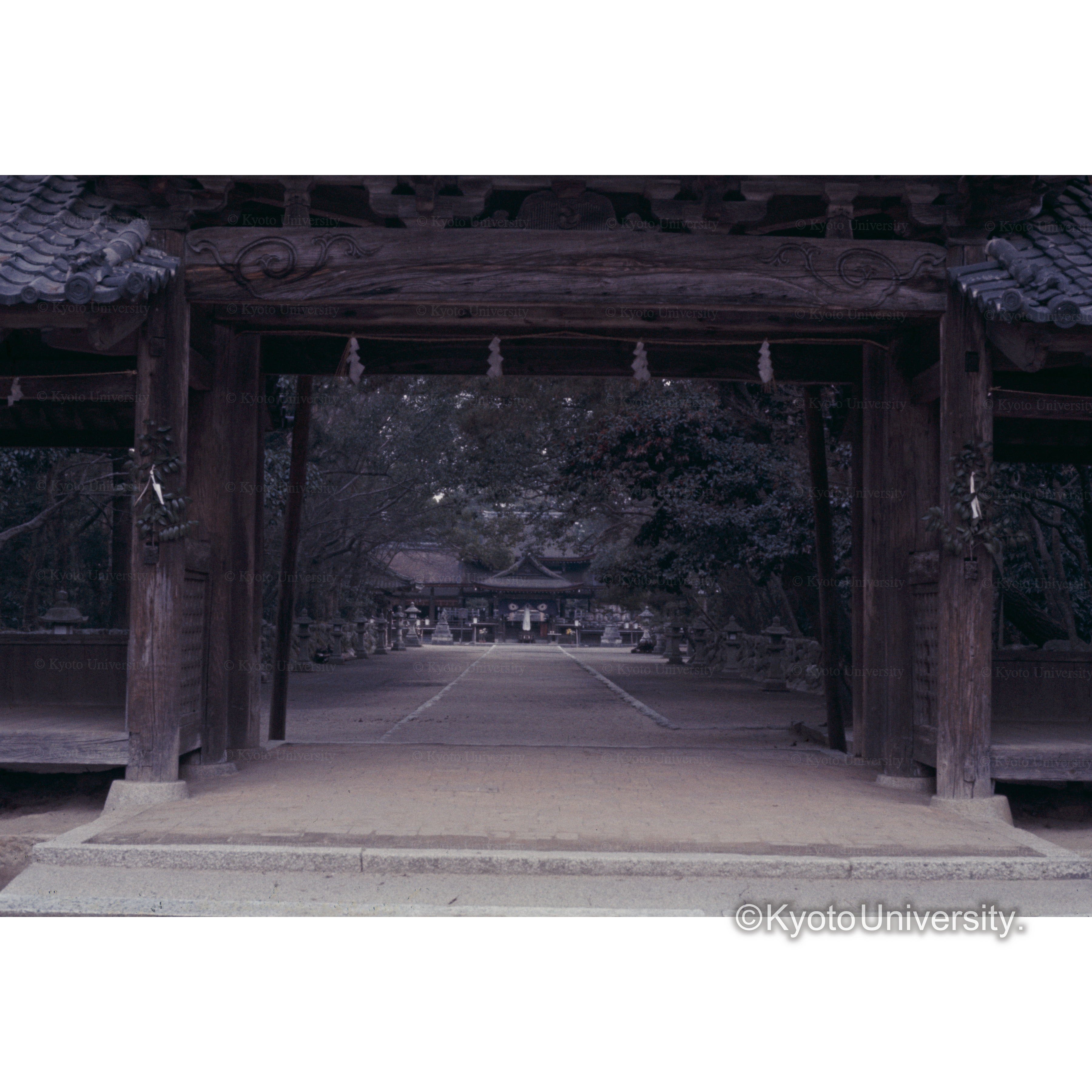 兵主神社 (1)