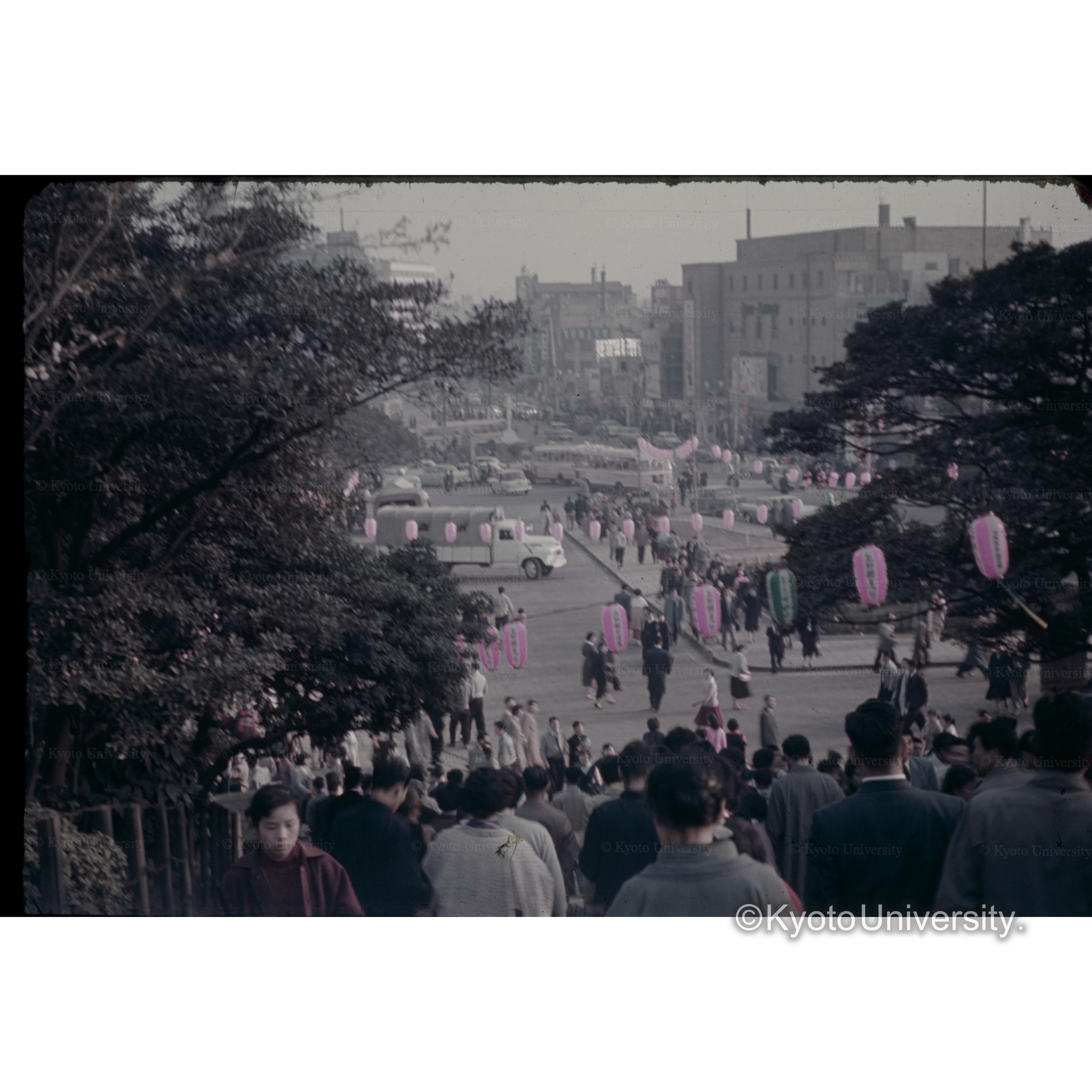 東京、上野公園 (1)