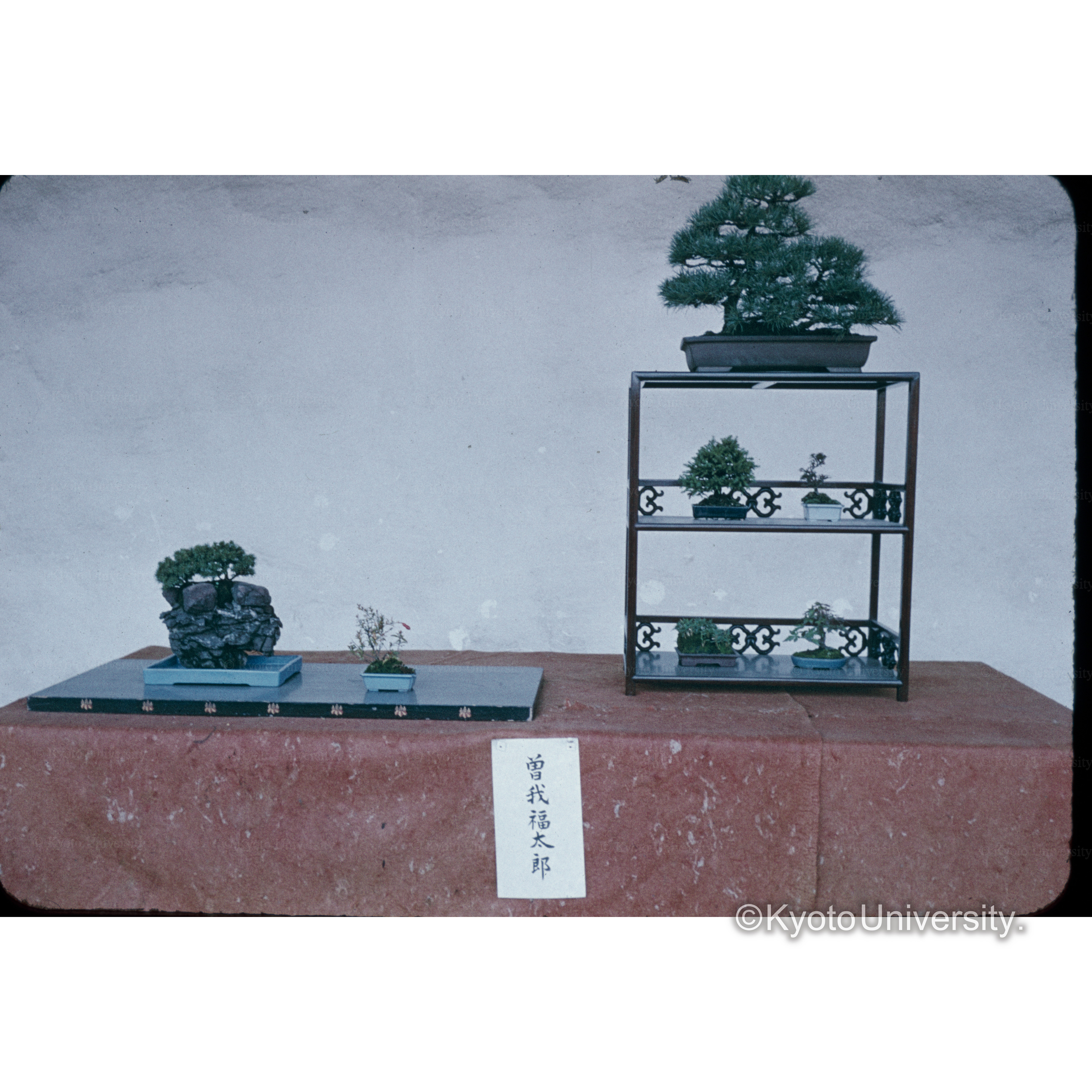 京都御苑展示 (1)