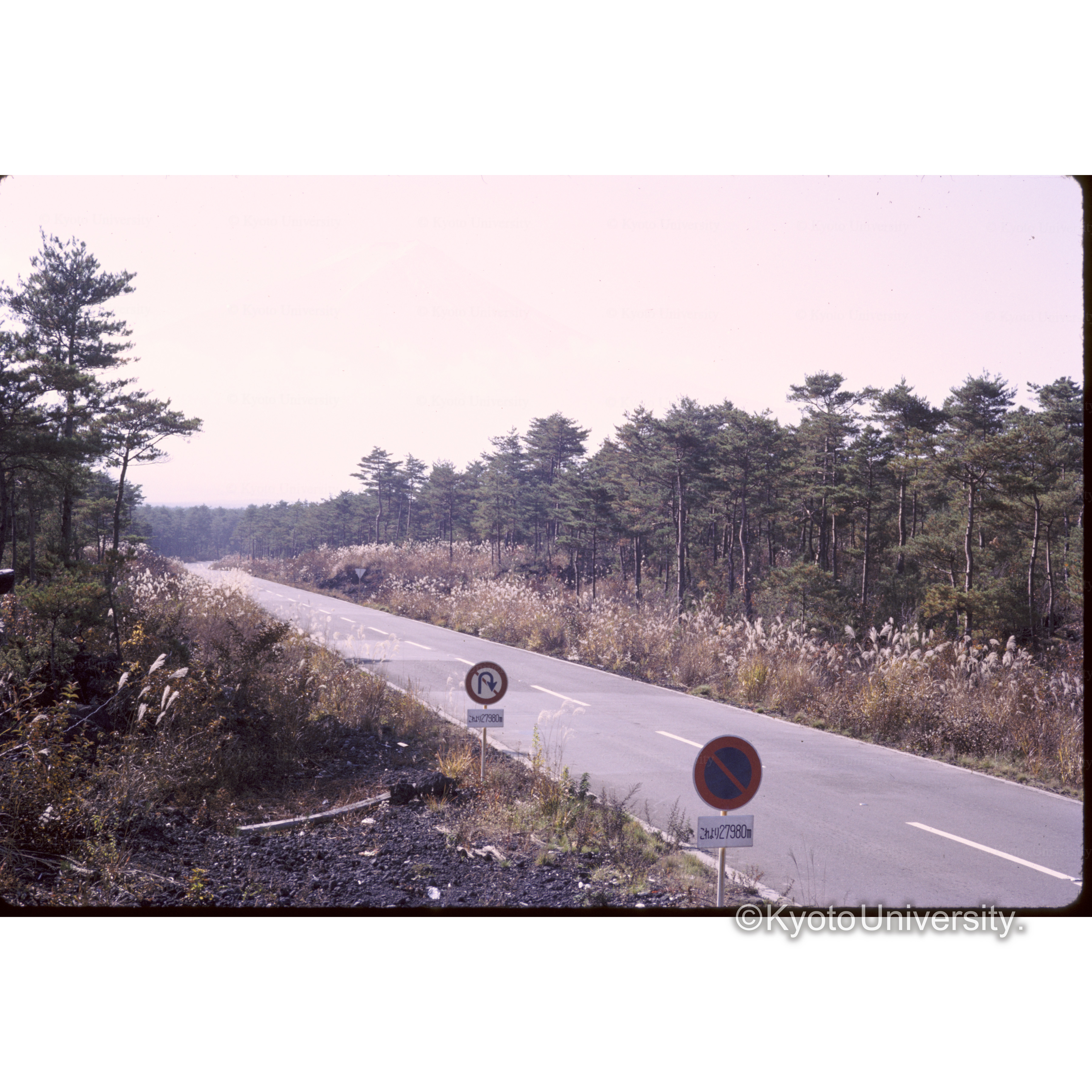 スバルライン (1)