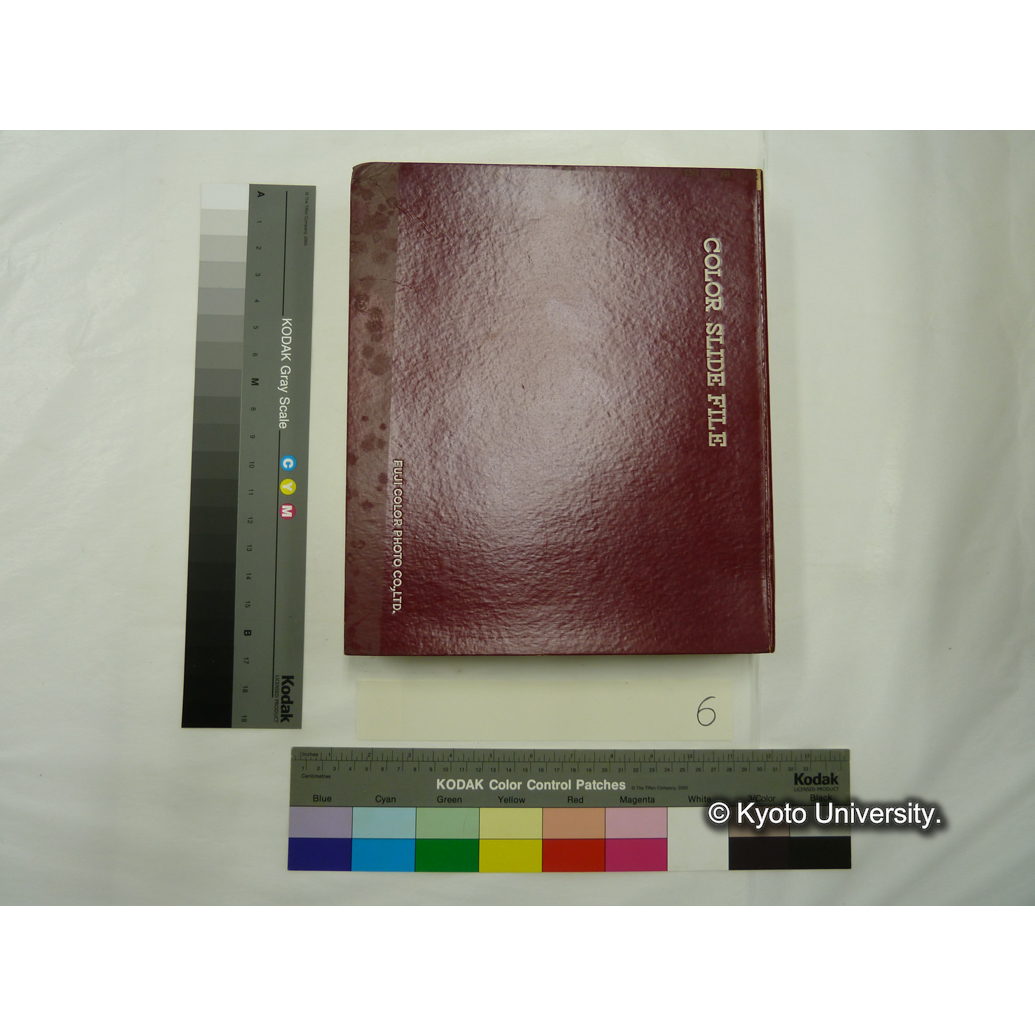 [スライドファイル] 植物（花卉，樹木） (1)