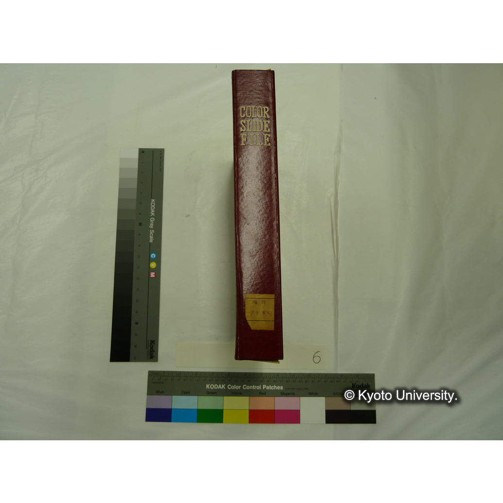 [スライドファイル] 植物（花卉，樹木） (2)