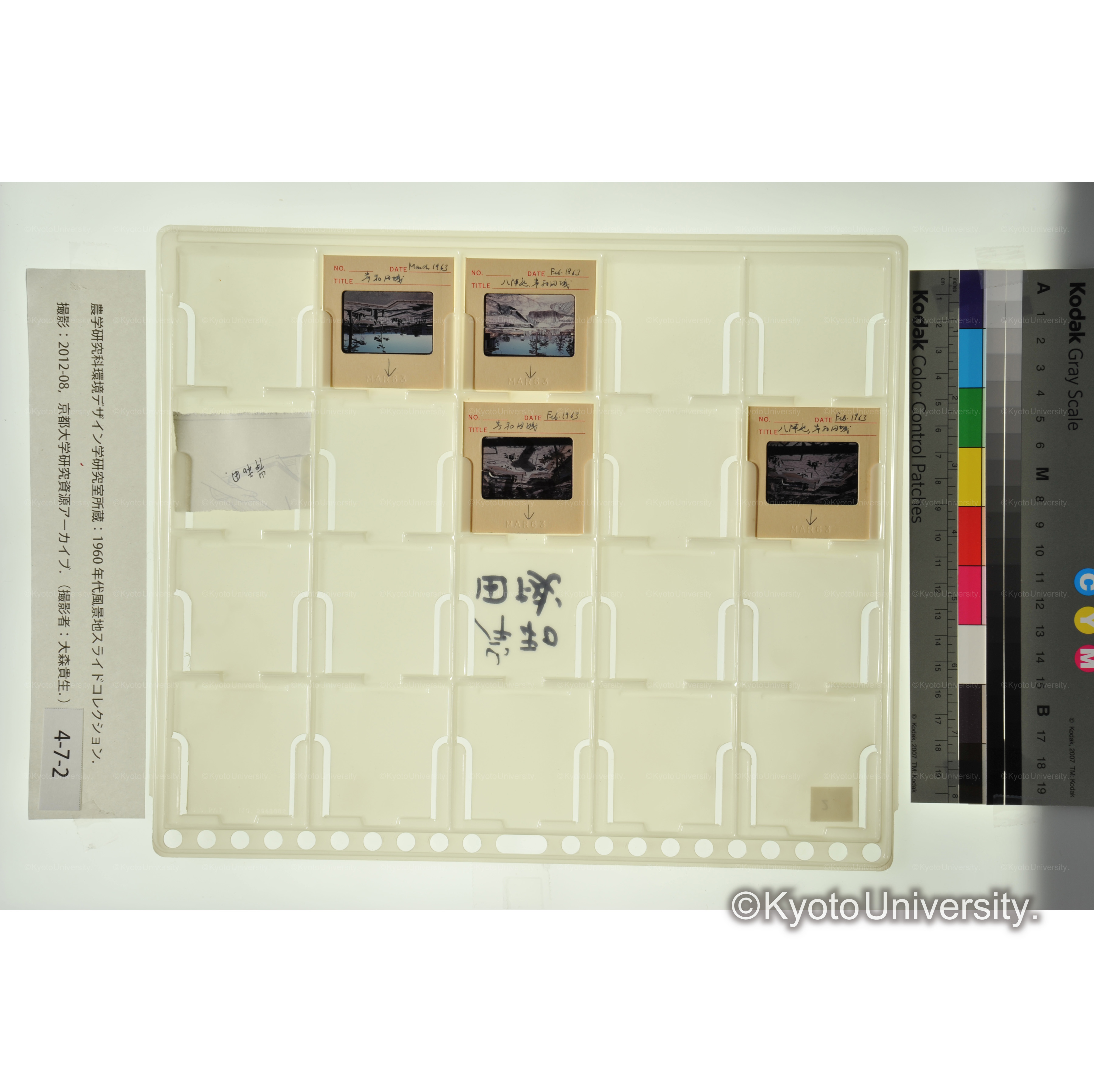 岸和田城　南宝寺 (1)