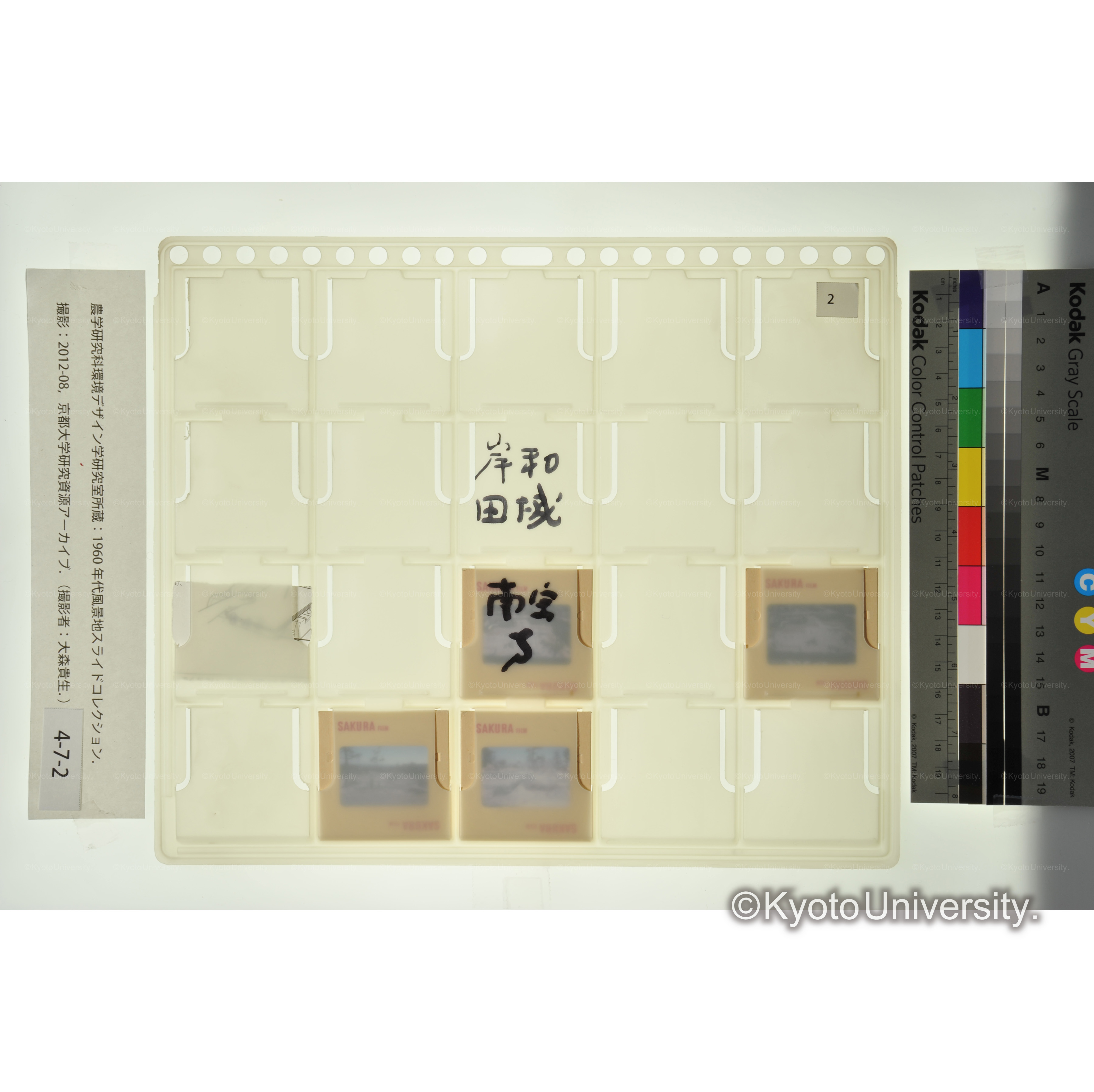 岸和田城　南宝寺 (2)