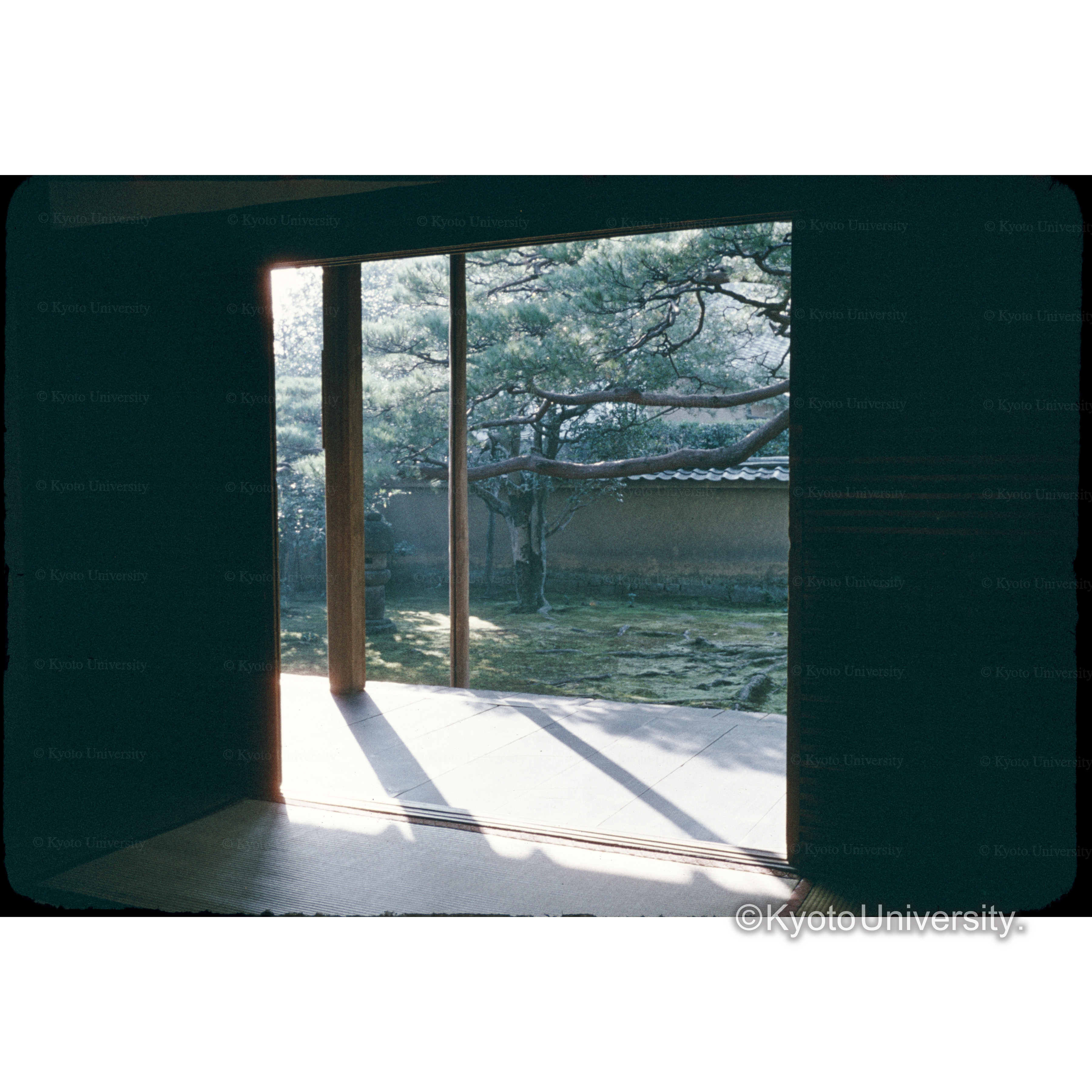 龍源院(方丈前庭) (1)