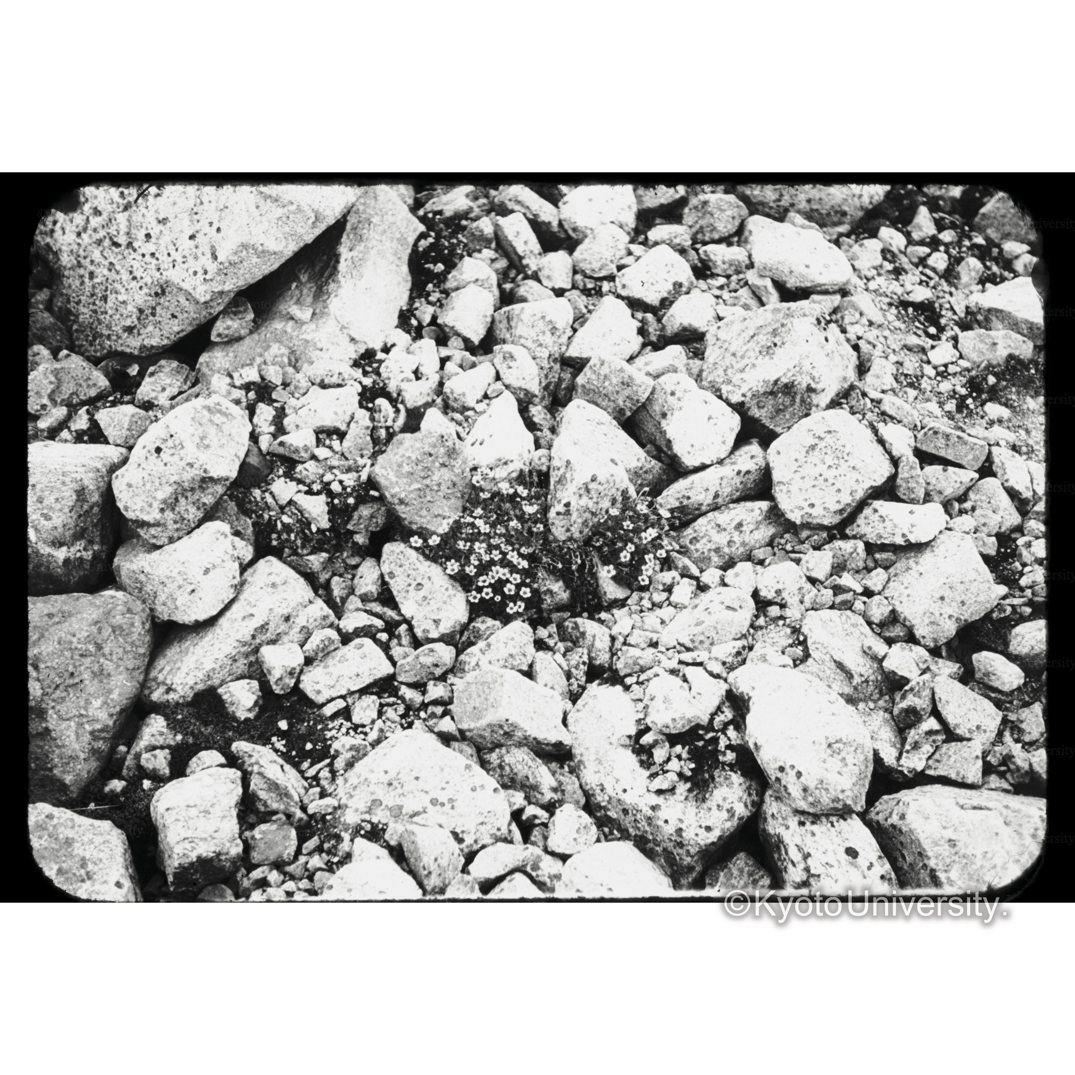 Magdalenafjird sk 4.32 (1)