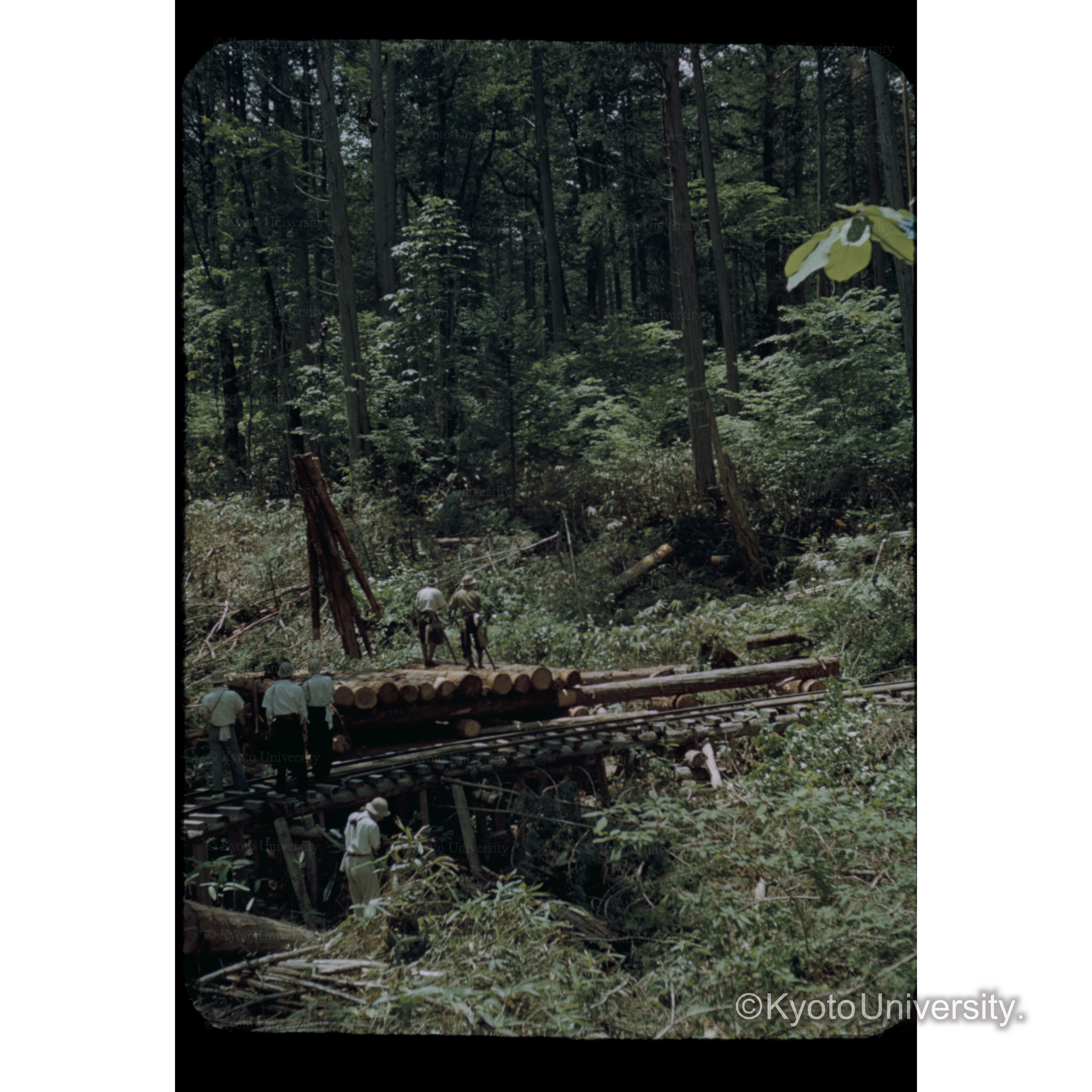 〔木材を運ぶトロッコ？〕 (1)