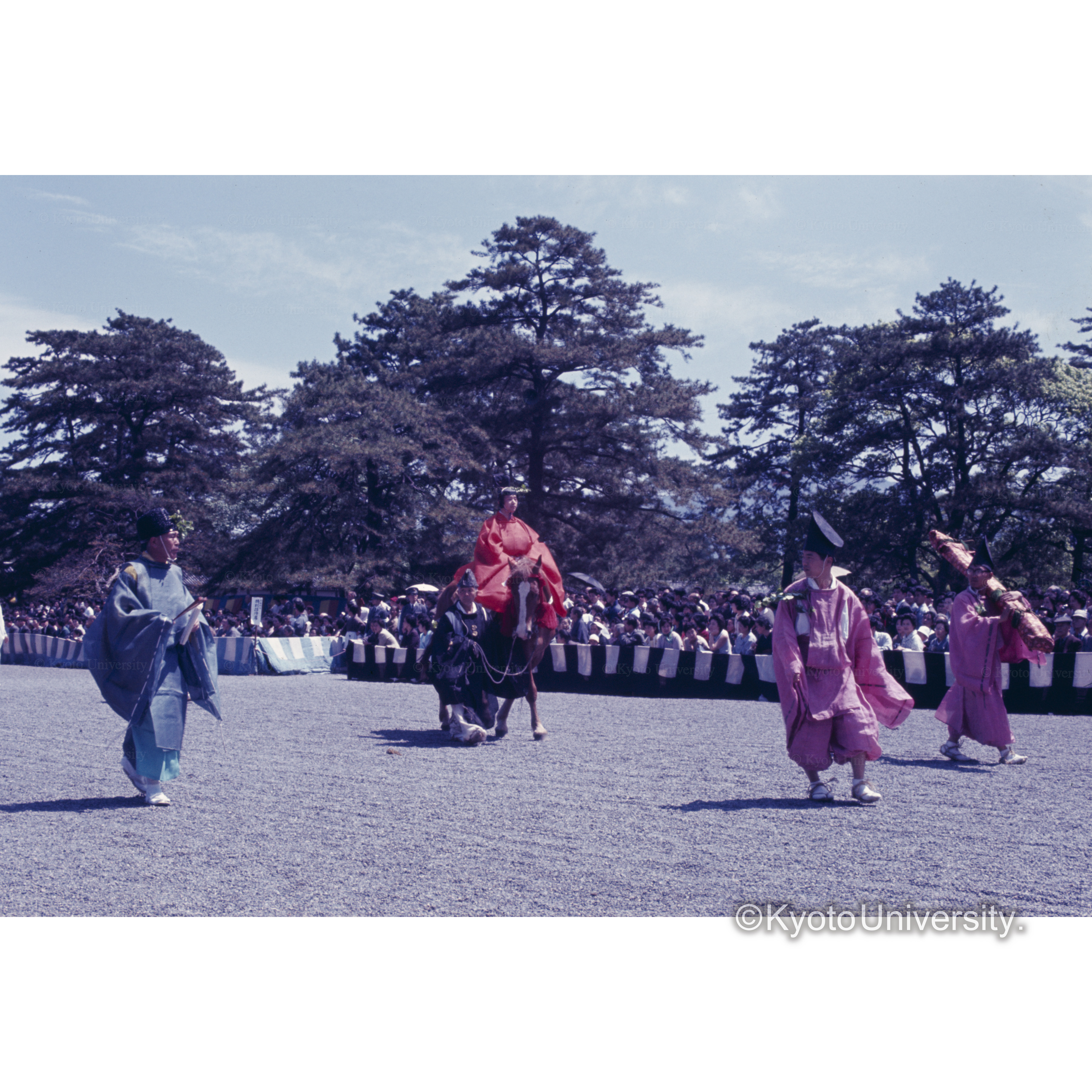 あおいまつり (1)