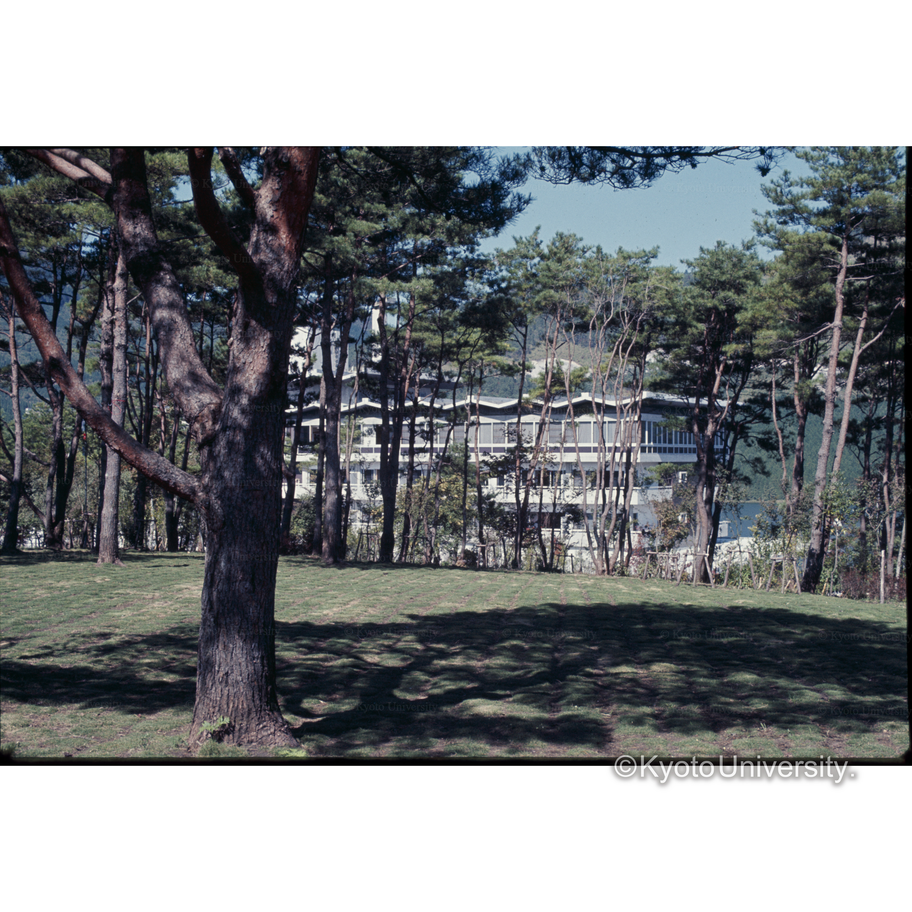 九重レークサイド・ホテル (1)