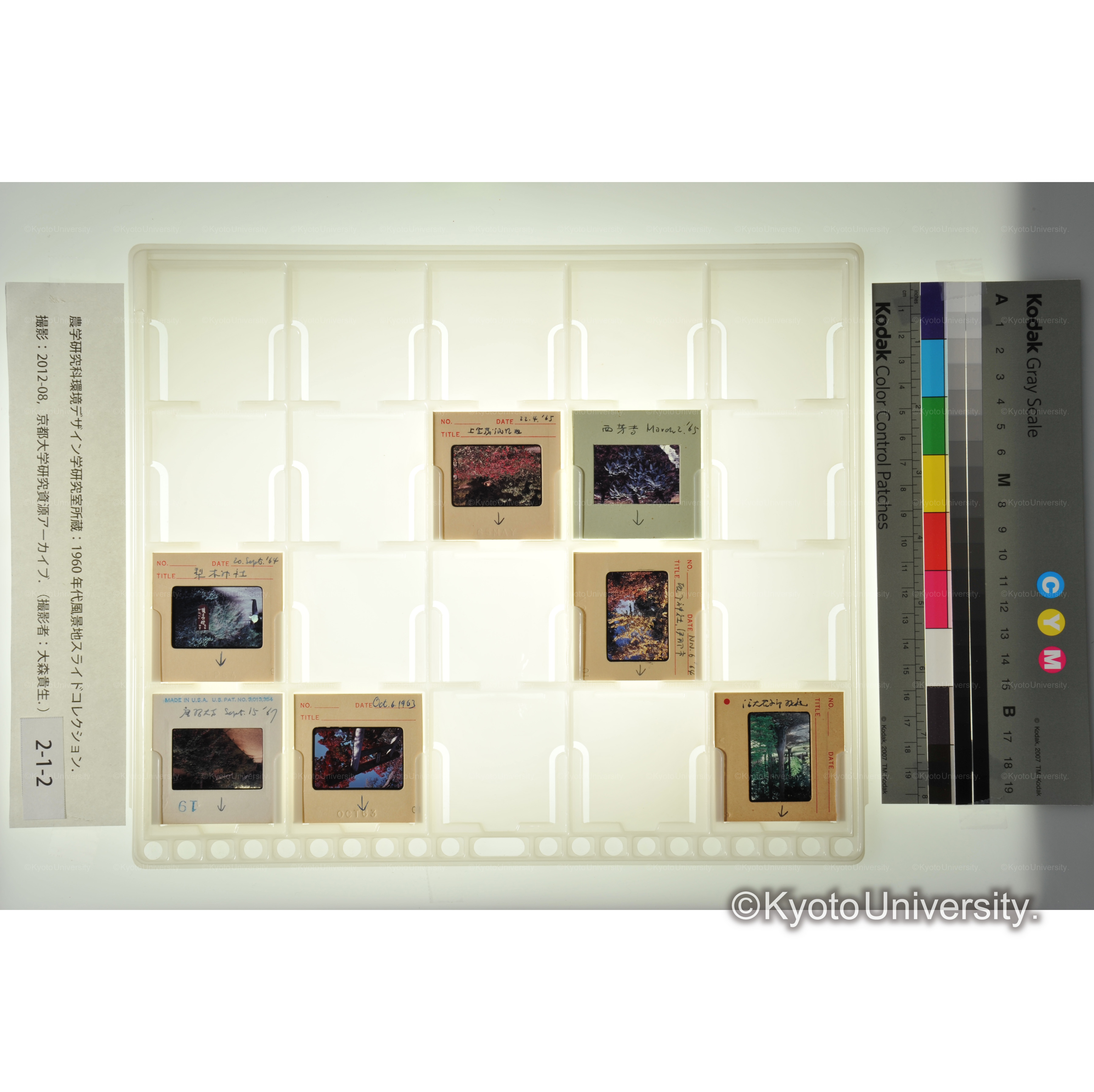 〔信大、京都　植物〕 (1)