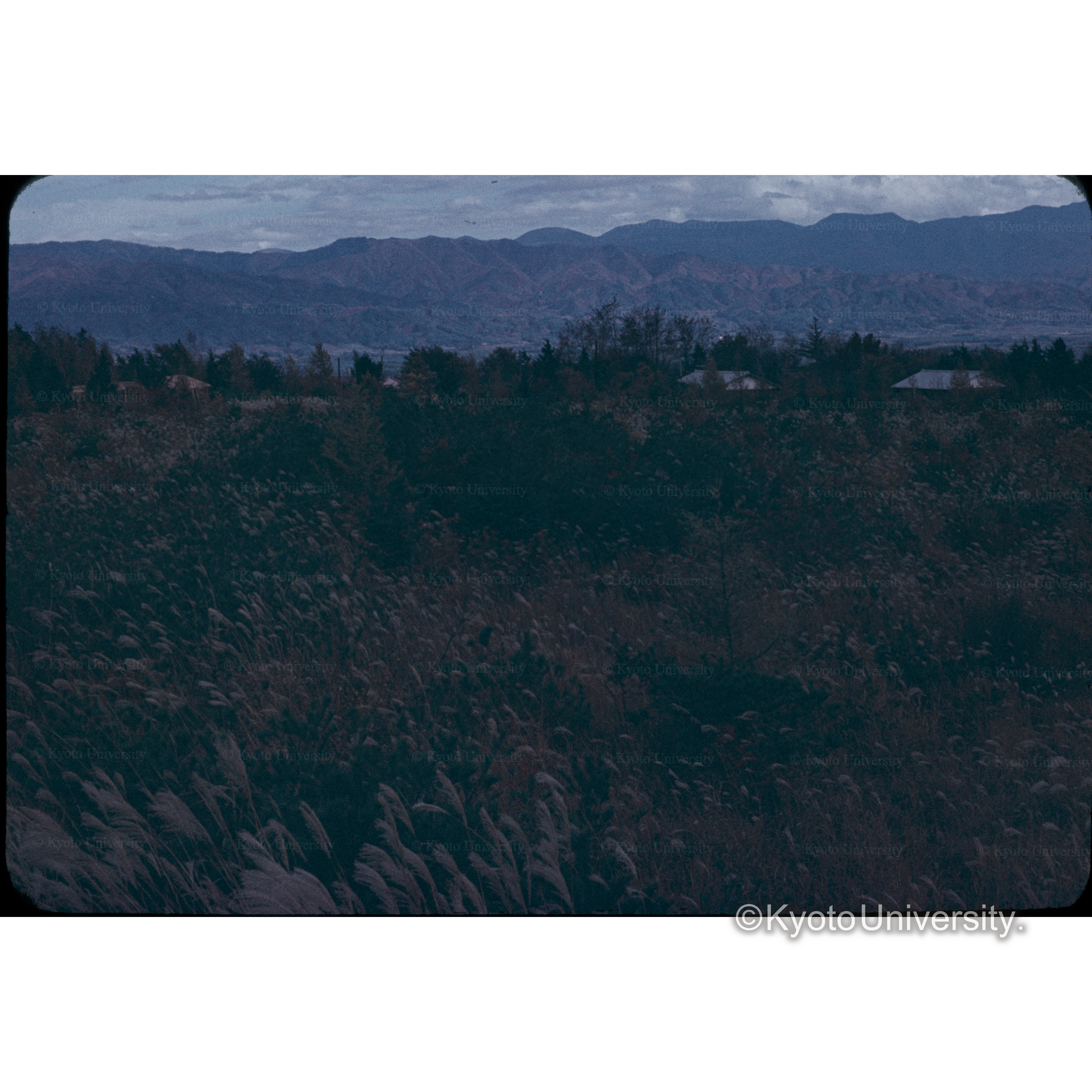 ススキガ原信大農学部 (1)