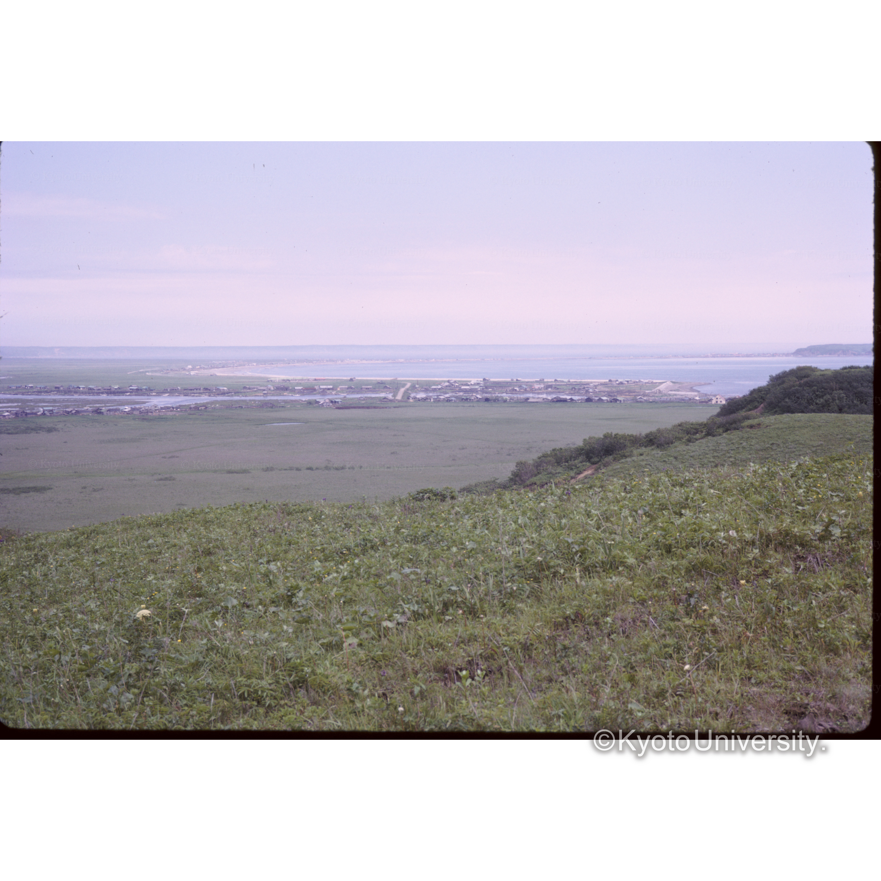 浜中キリタップの湿原 (1)