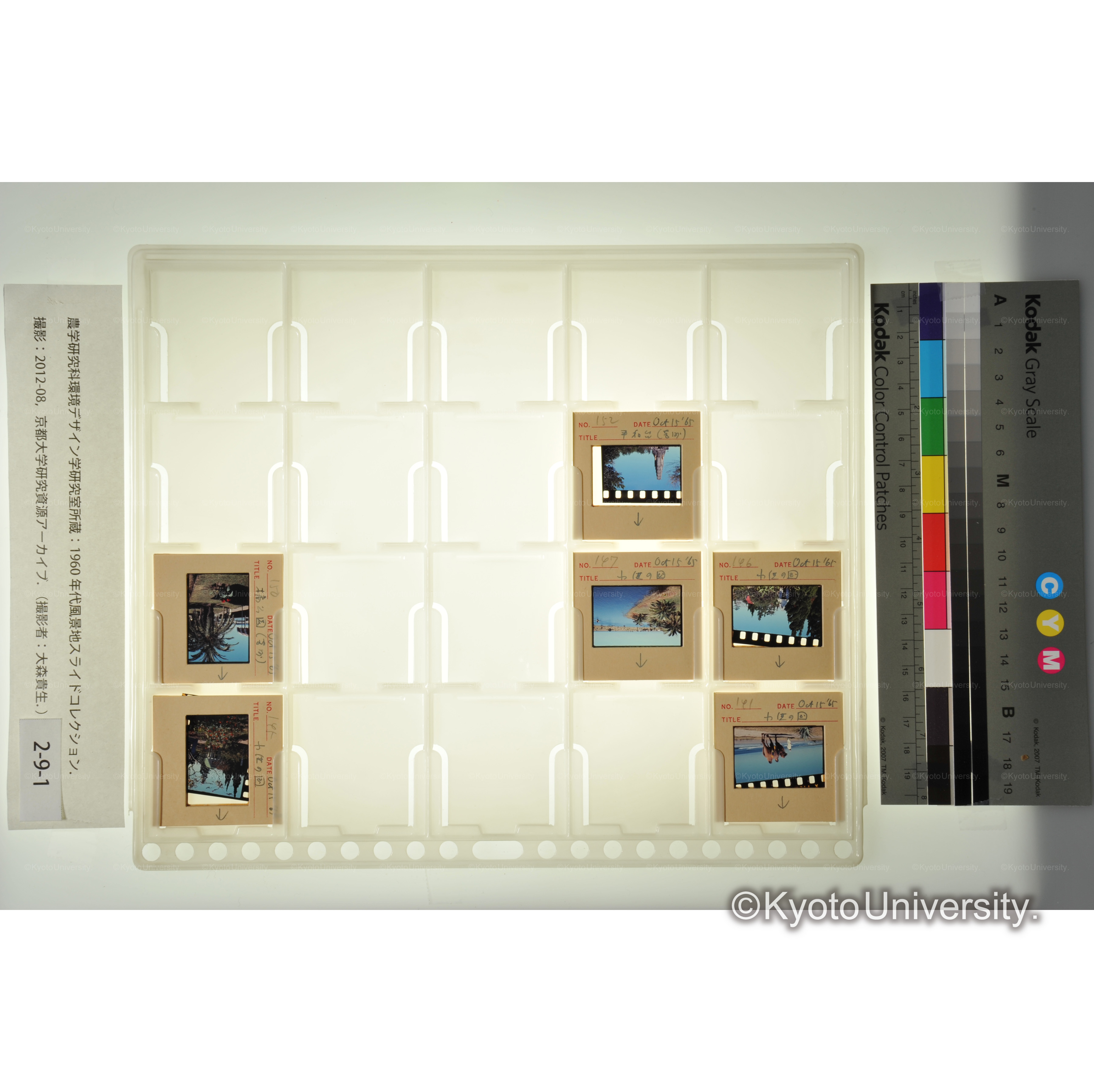 〔小供の国〕 (1)