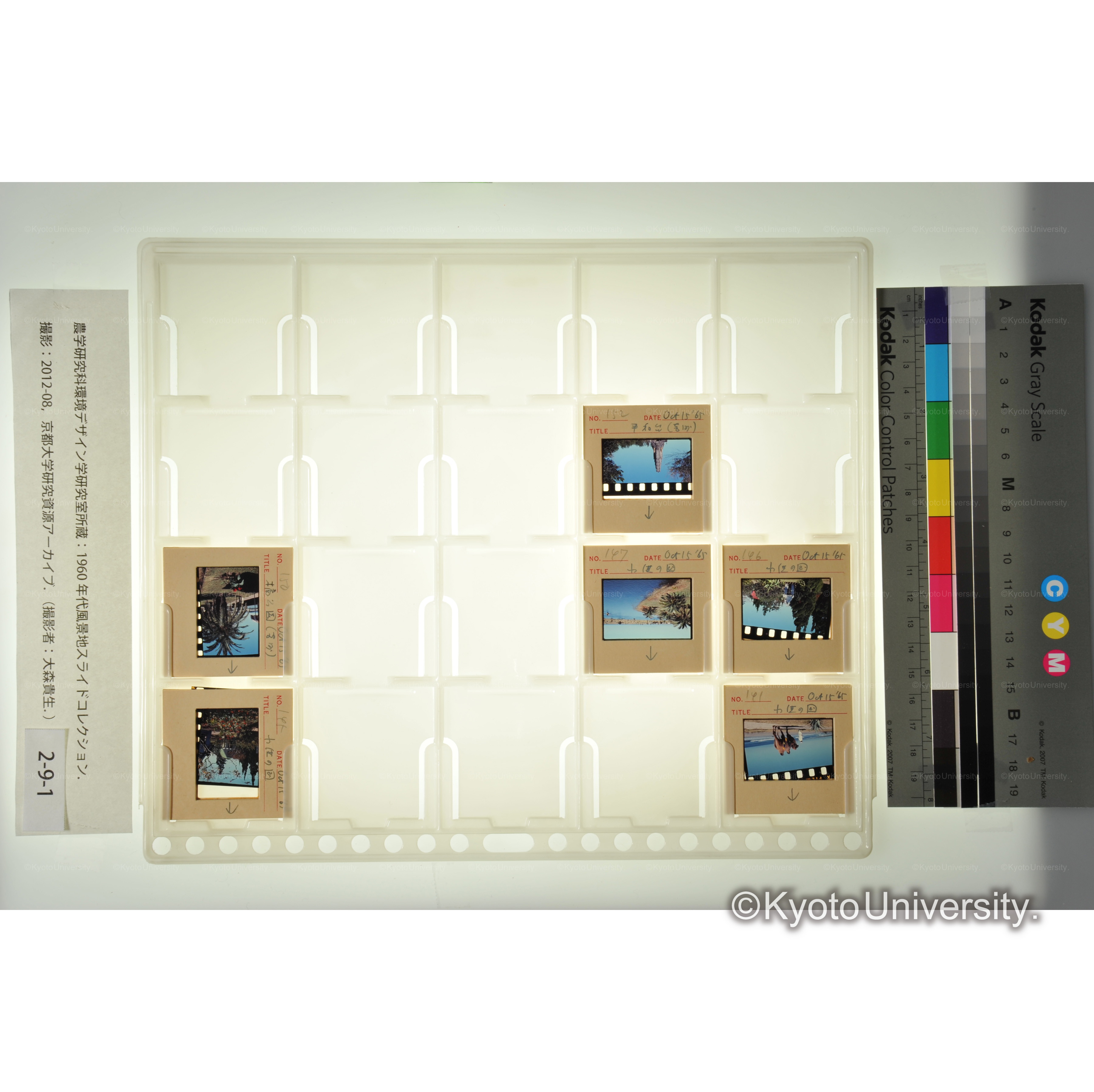 〔小供の国〕 (2)