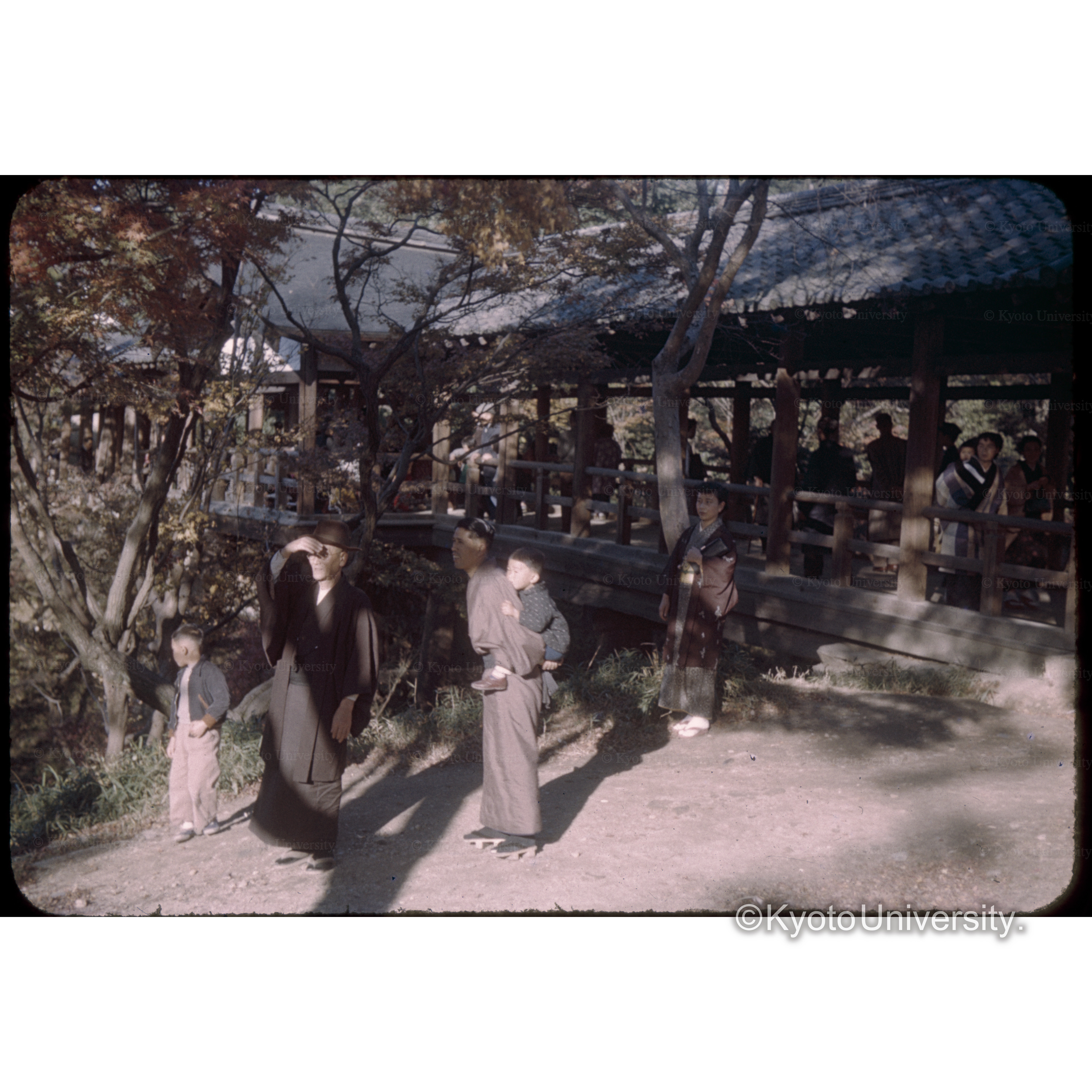 東福寺通天橋 (1)