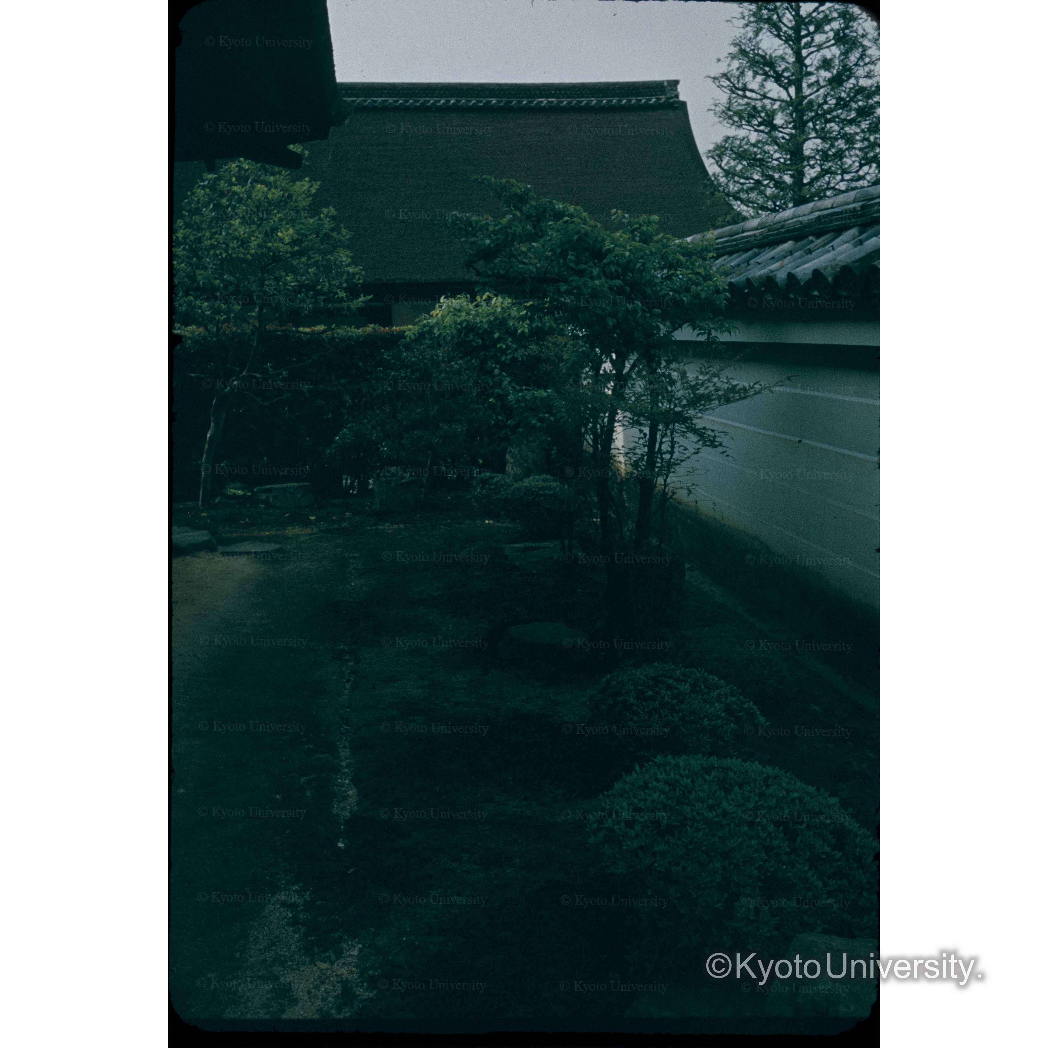 〔屋敷と庭〕 (1)