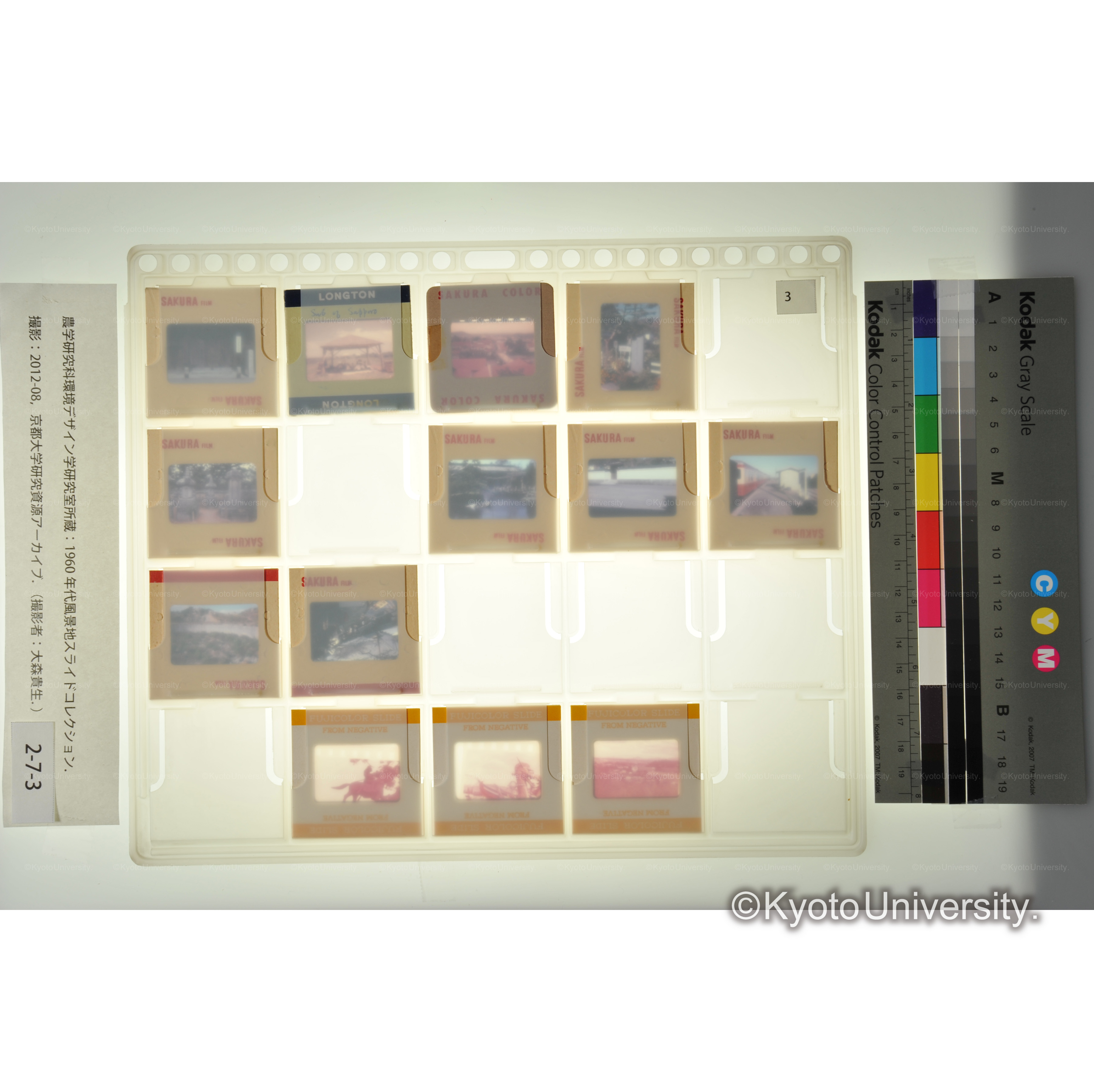 〔赤穂大石邸、宮城〕 (1)