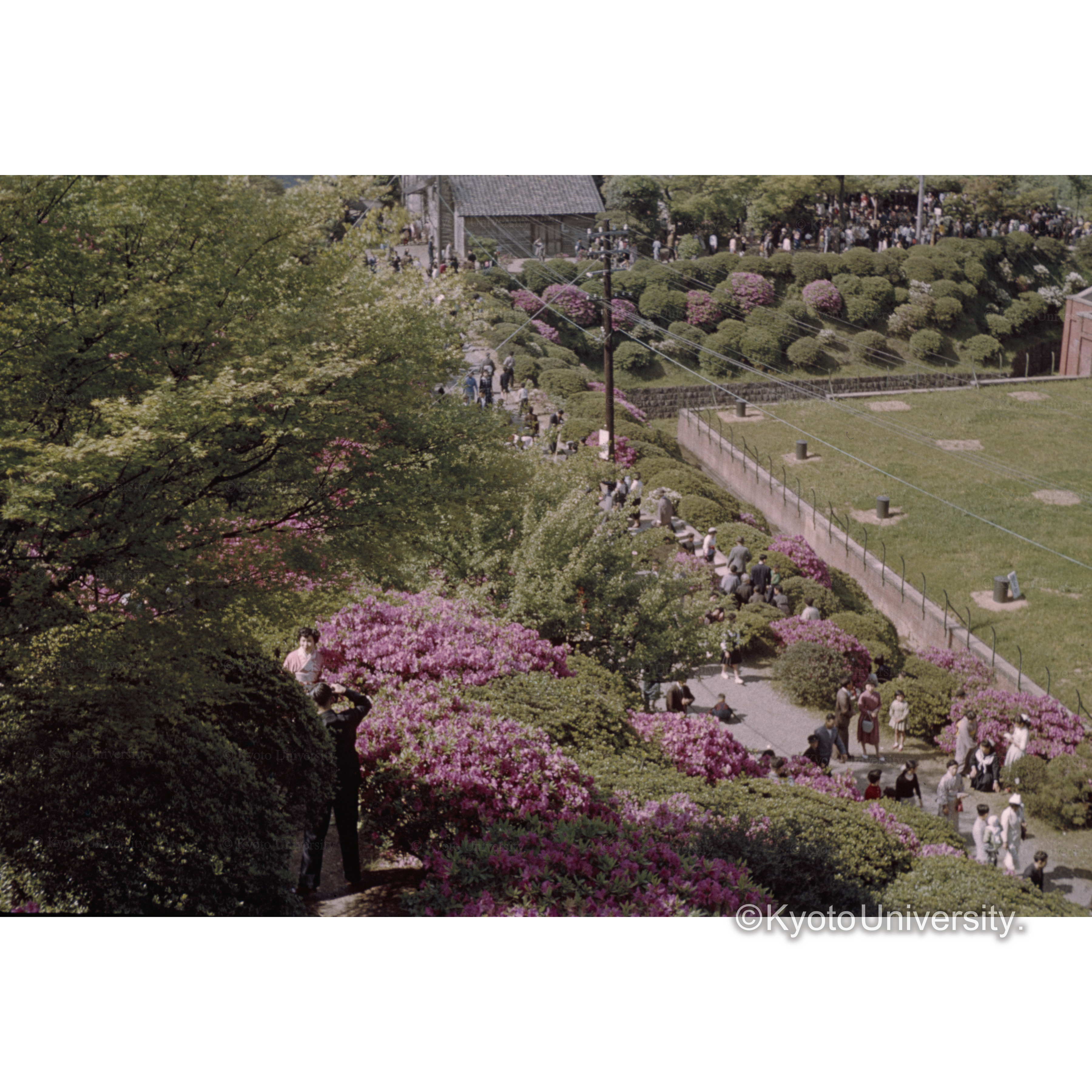 ケアゲ上水道 (1)