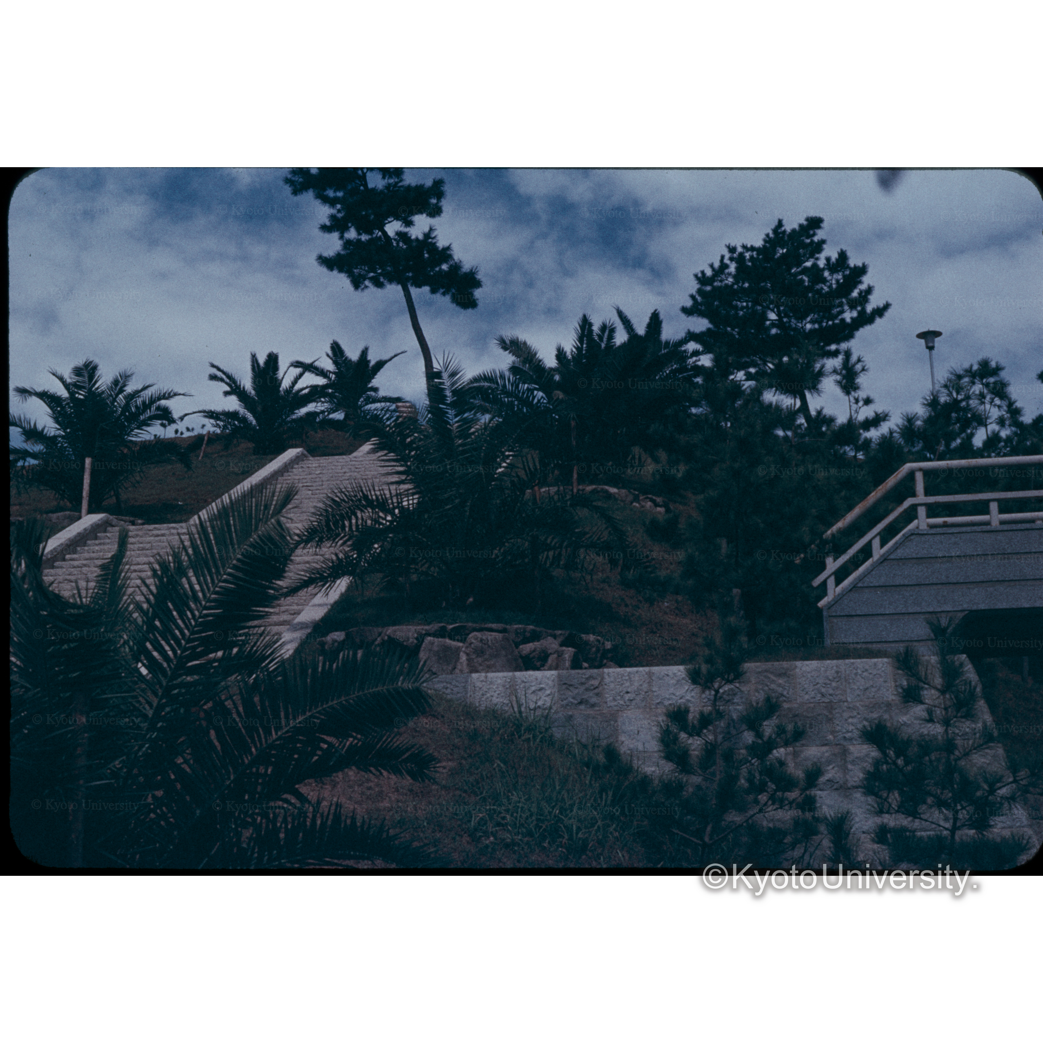 名古山仏舎利 (1)