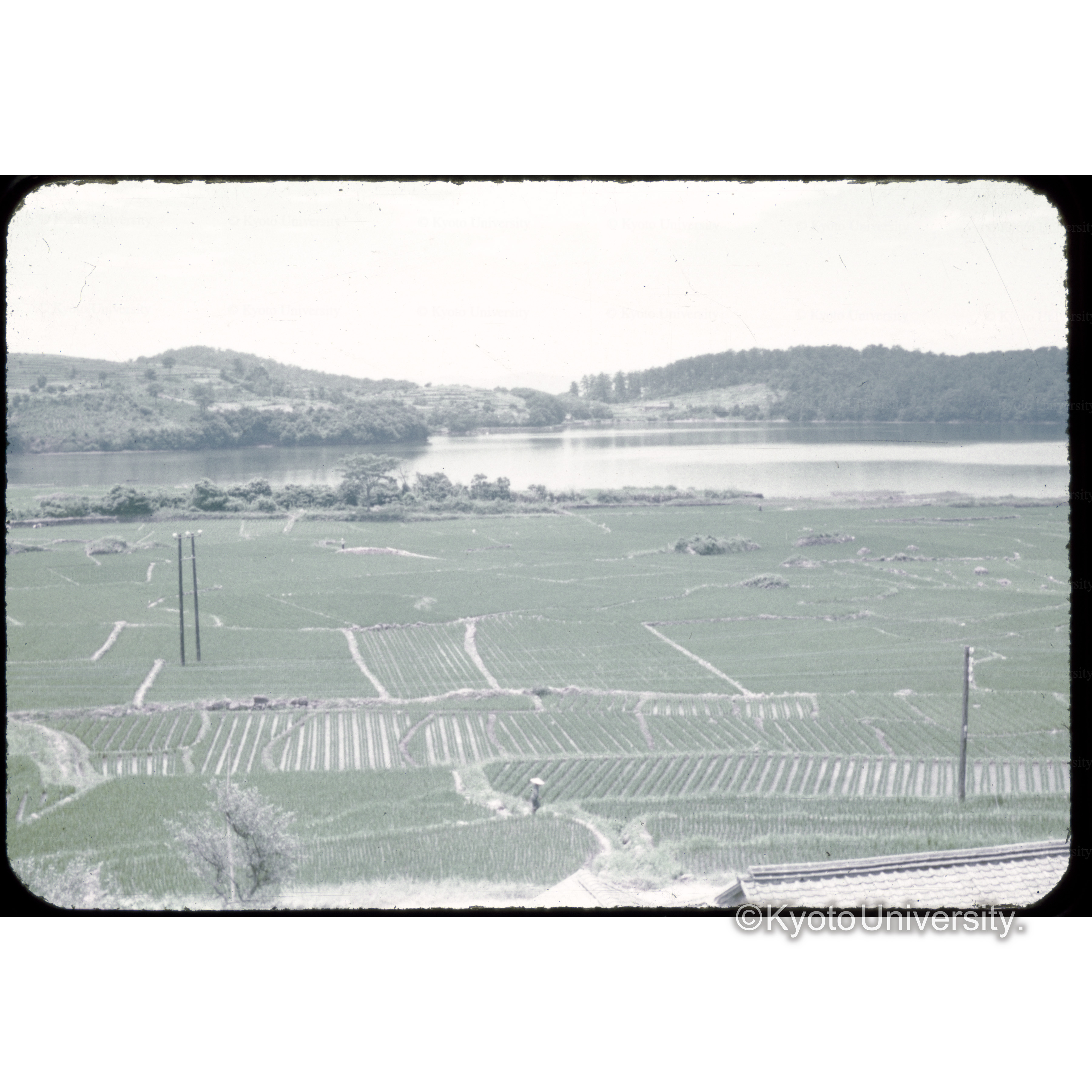 水俣市袋の水源カン養林よりの遠望 (1)