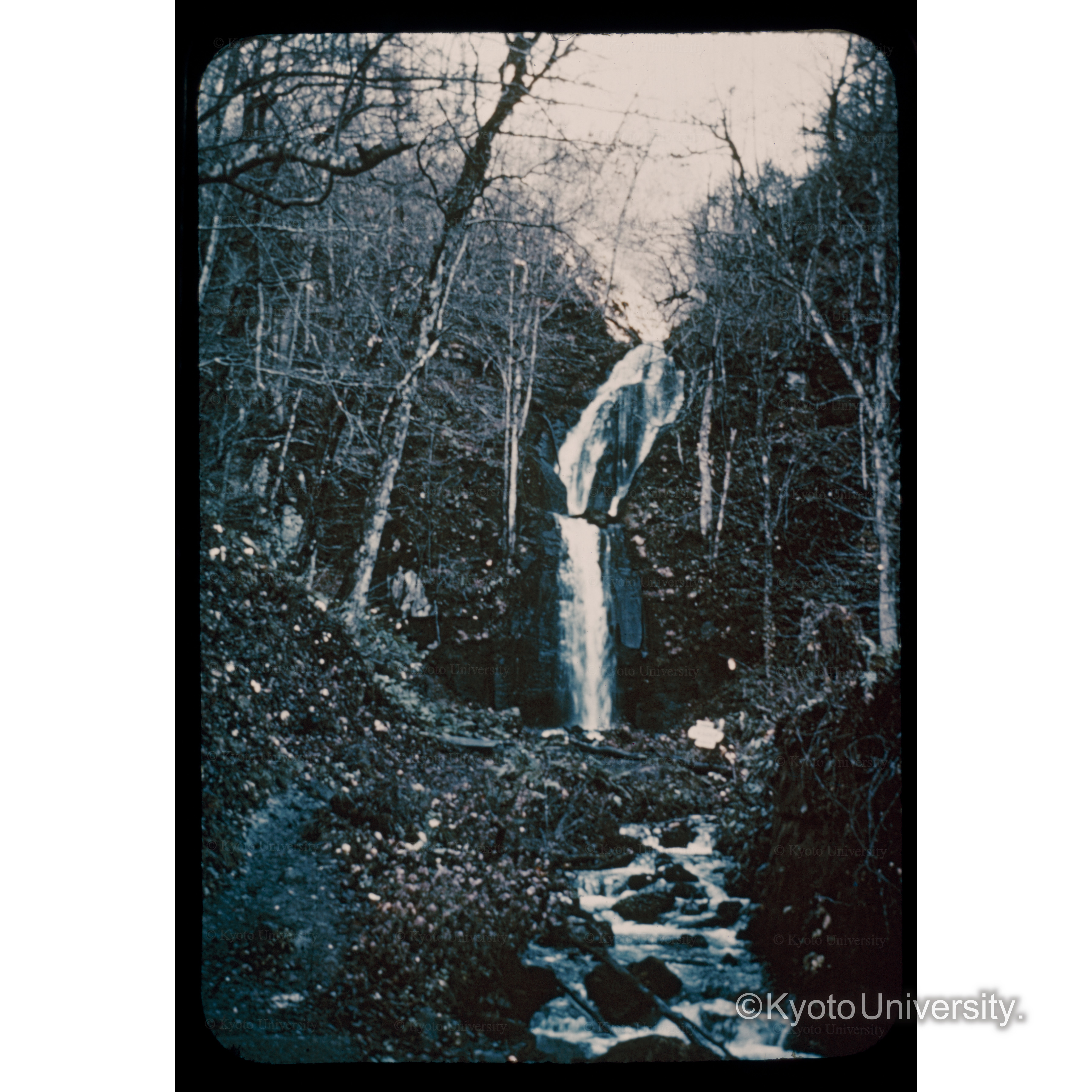 奥入瀬渓流、雲居の滝、十和田八幡平国立公園 (1)