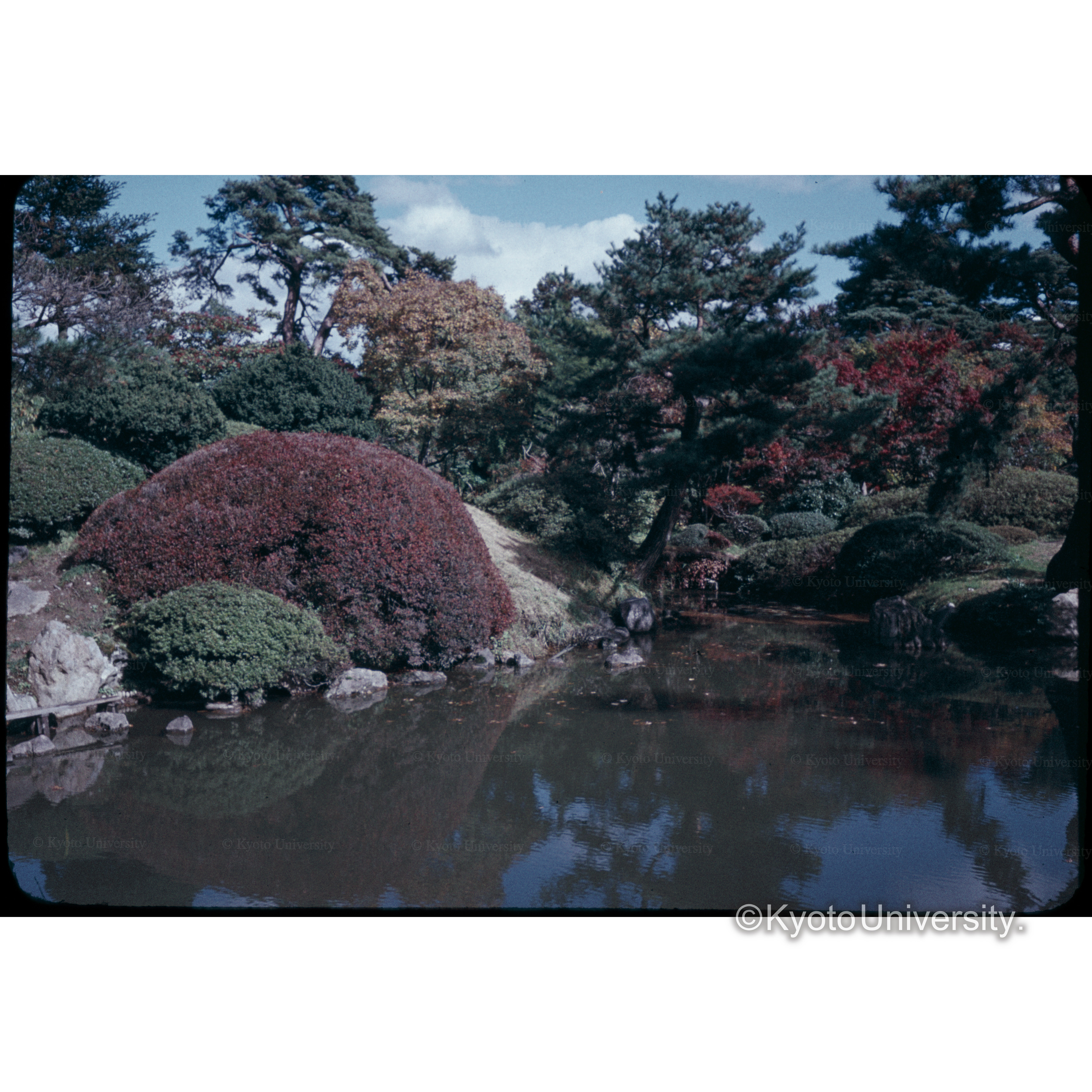 鶴岡城　庭園 (1)