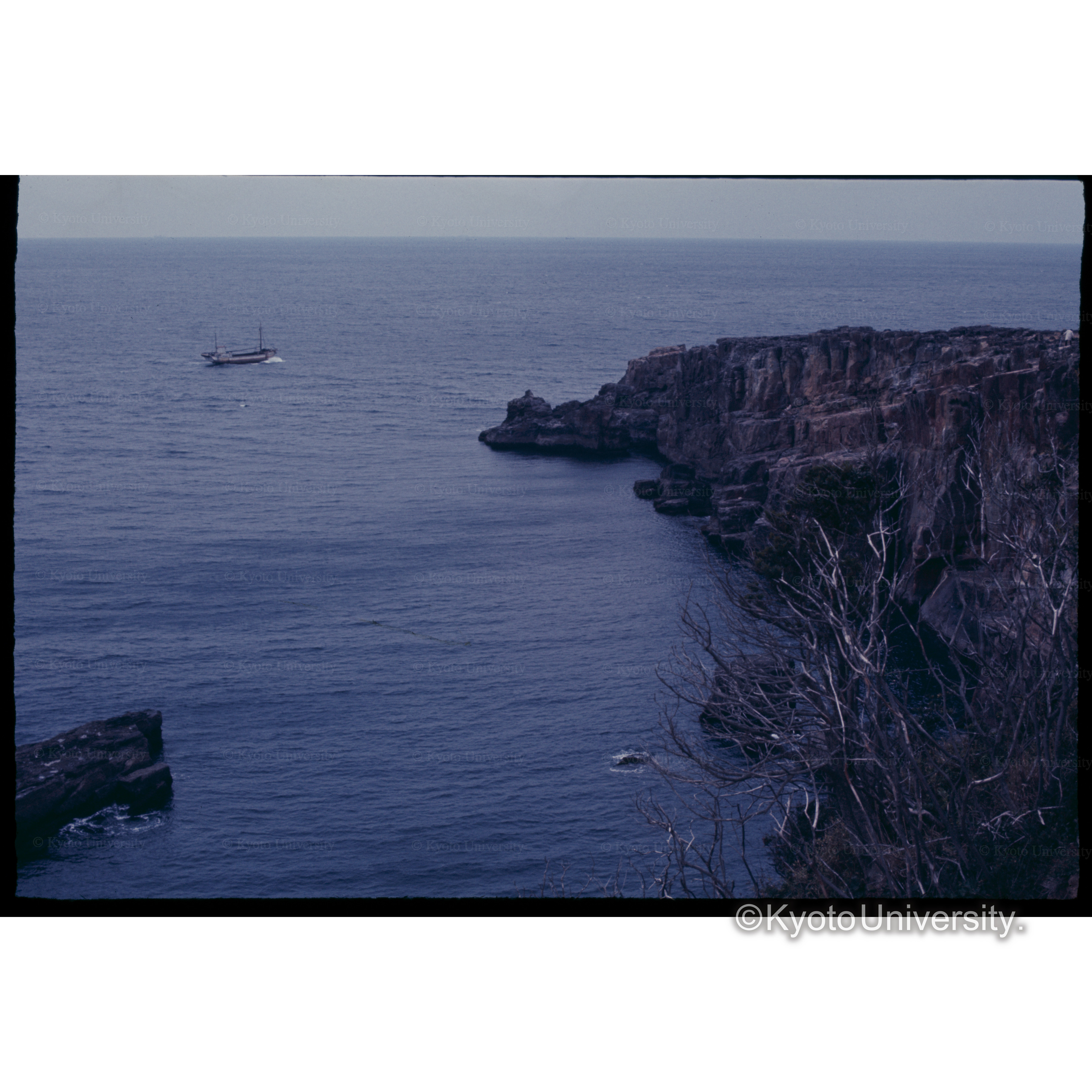 白浜三段ペキ (1)