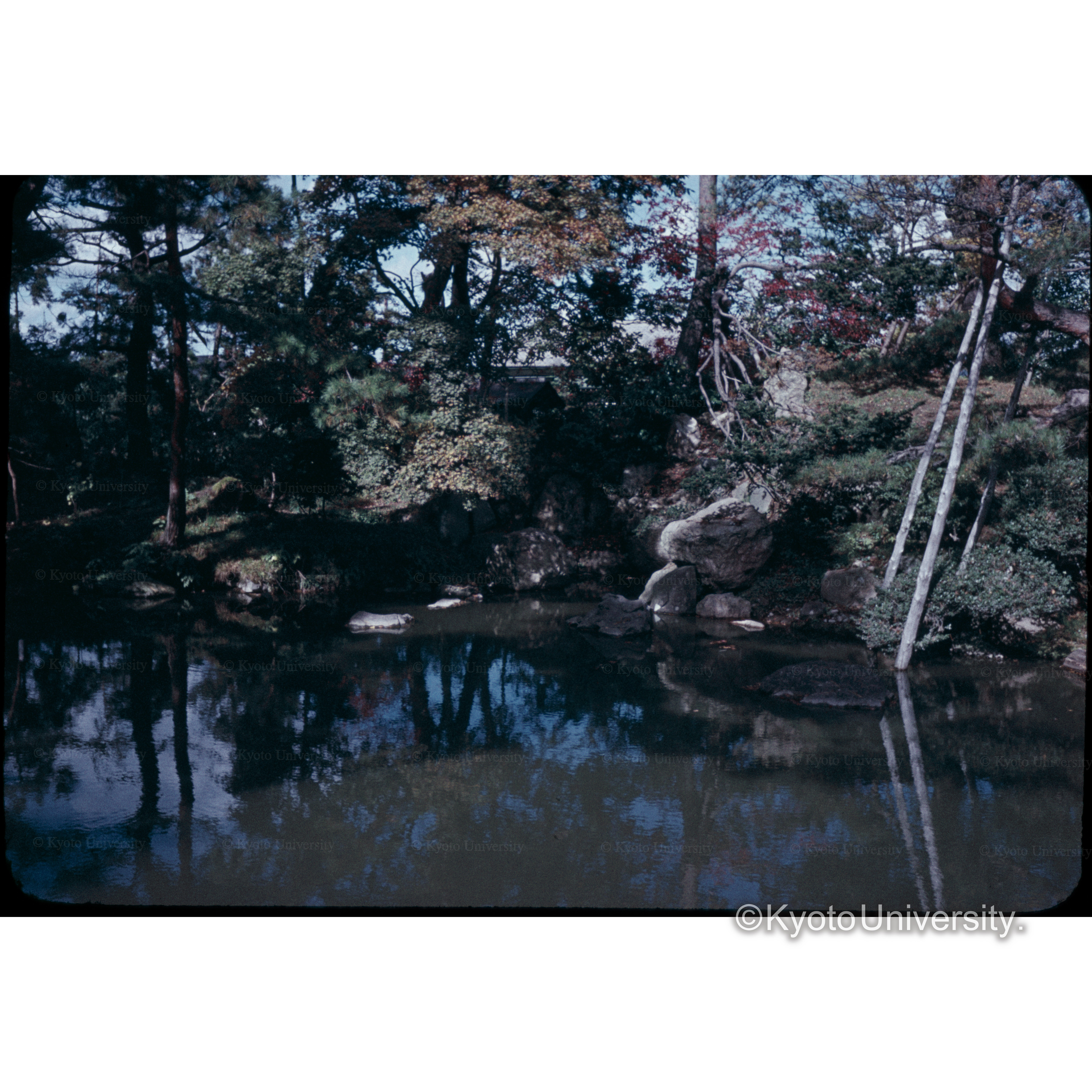 鶴岡城　庭園 (1)