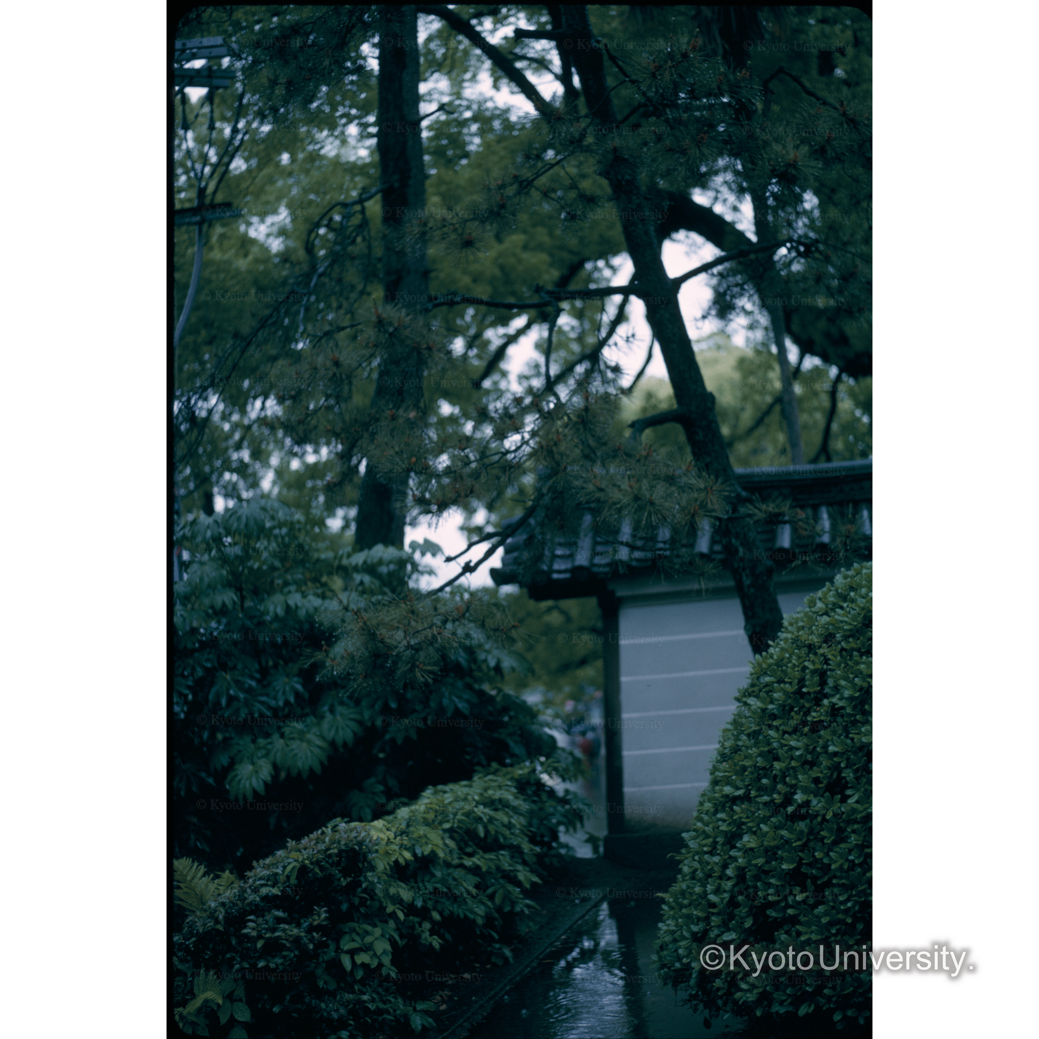 青蓮院(花園天皇陵入口より) (1)