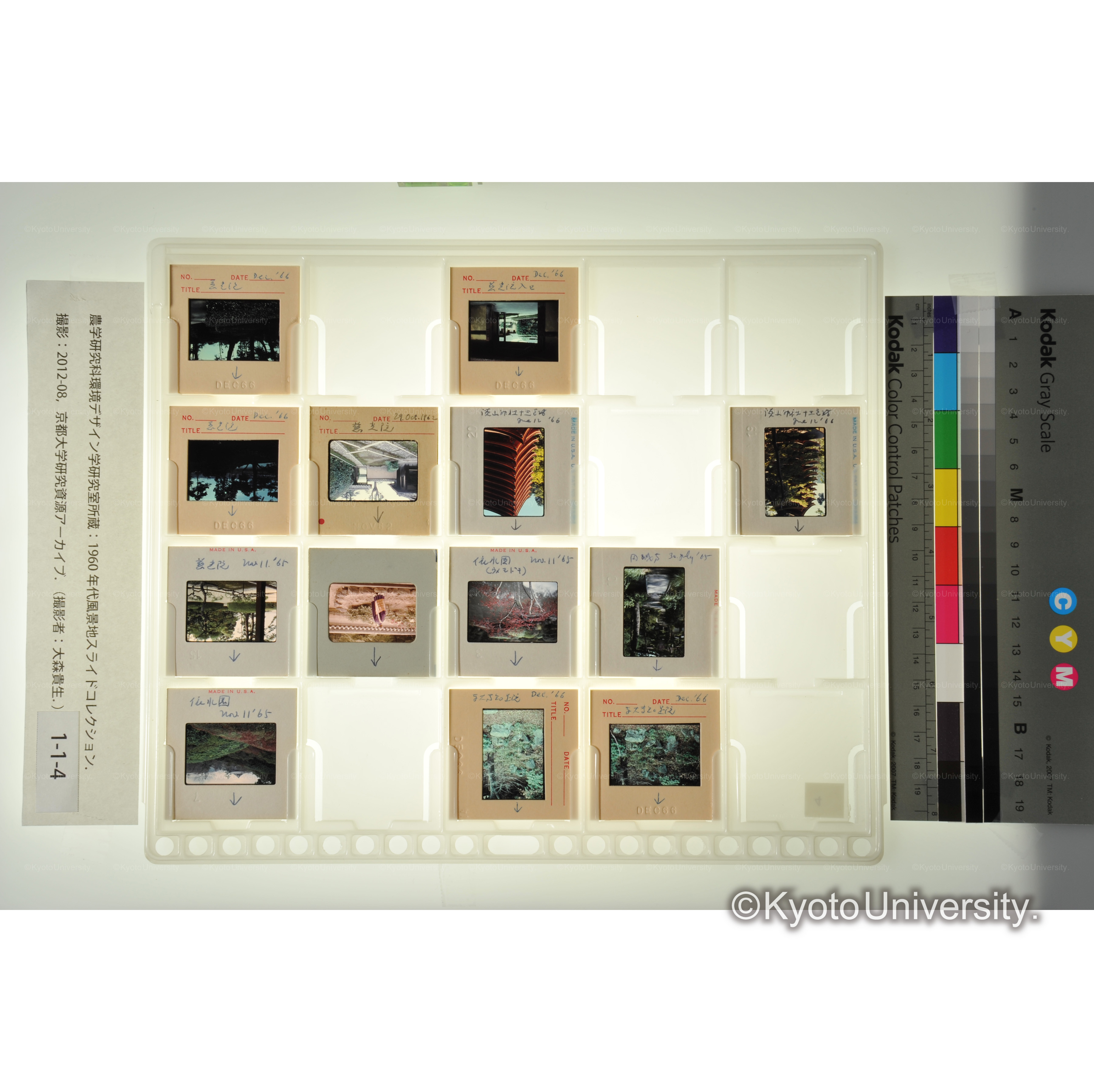 〔東大寺知足院、談山神社、慈光院〕 (1)