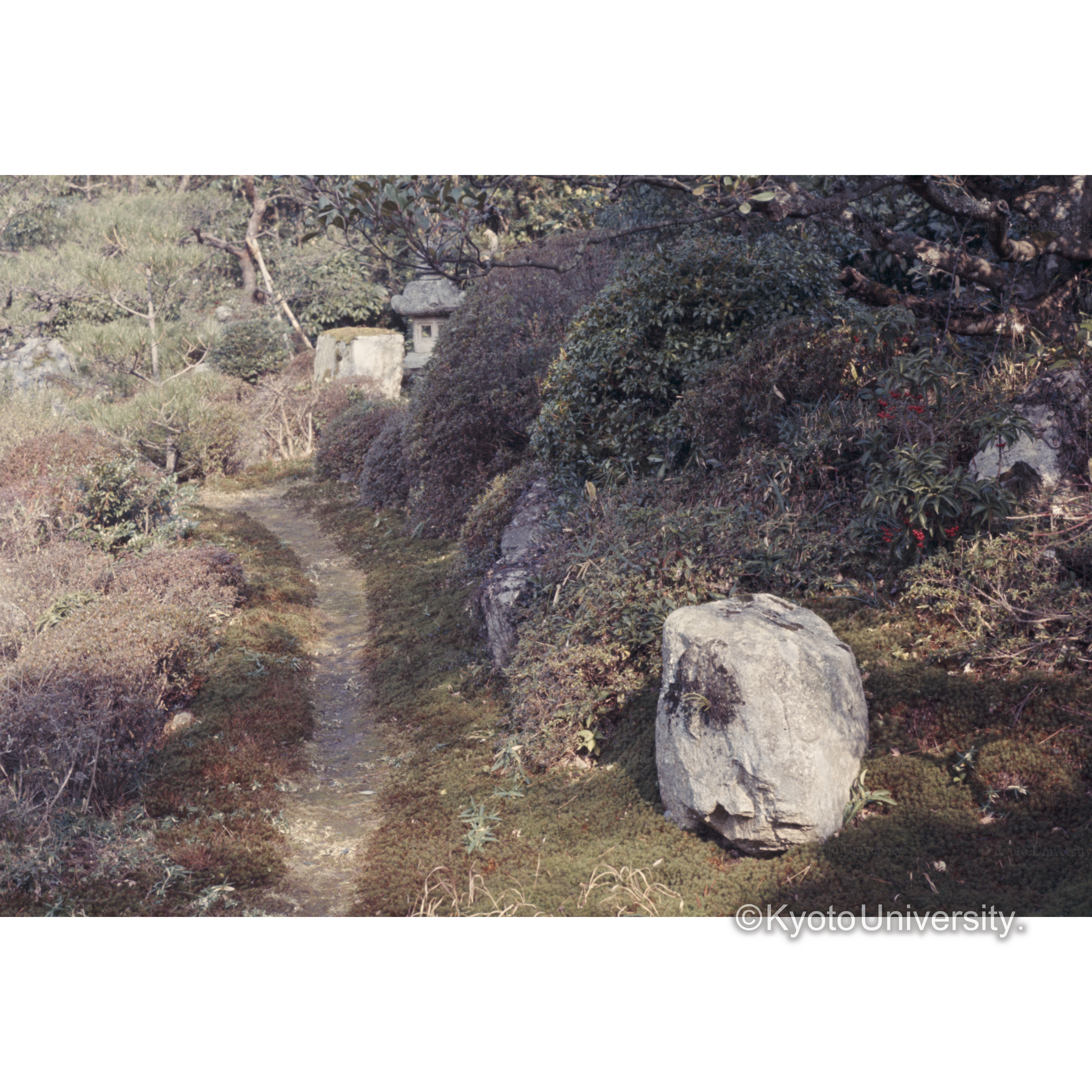 律院(日吉神社) (1)