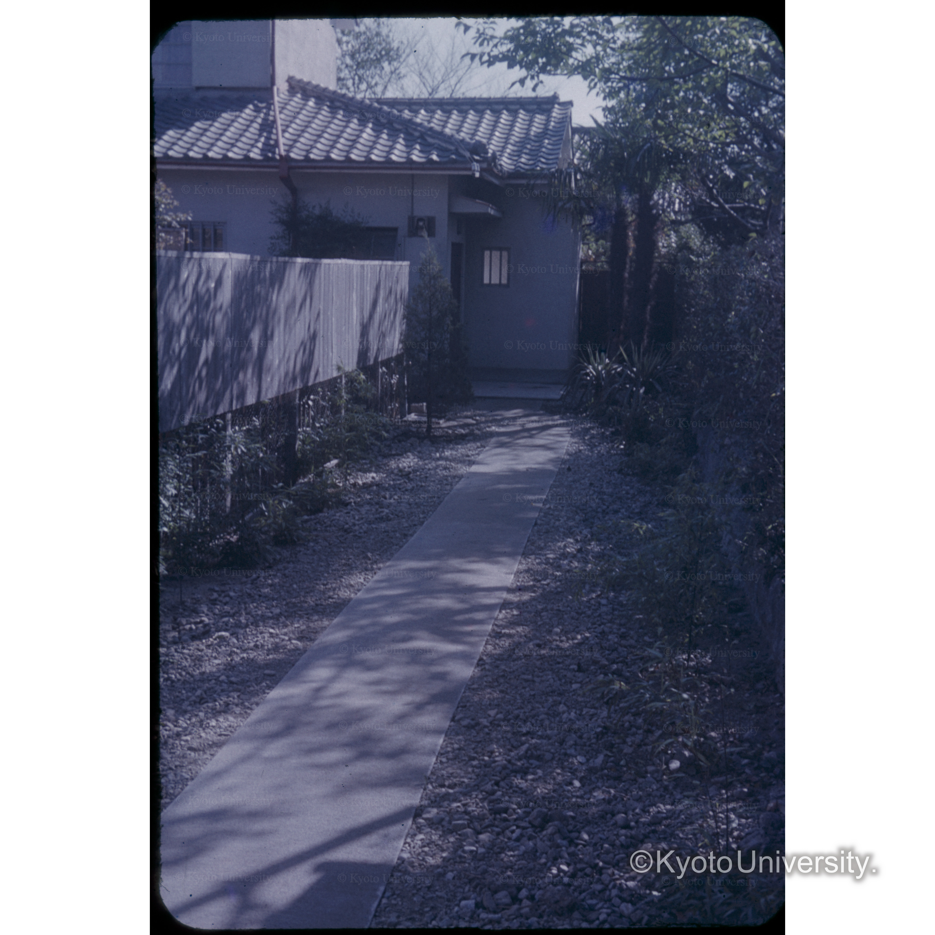 〔建物へと続く石畳風の道〕 (1)